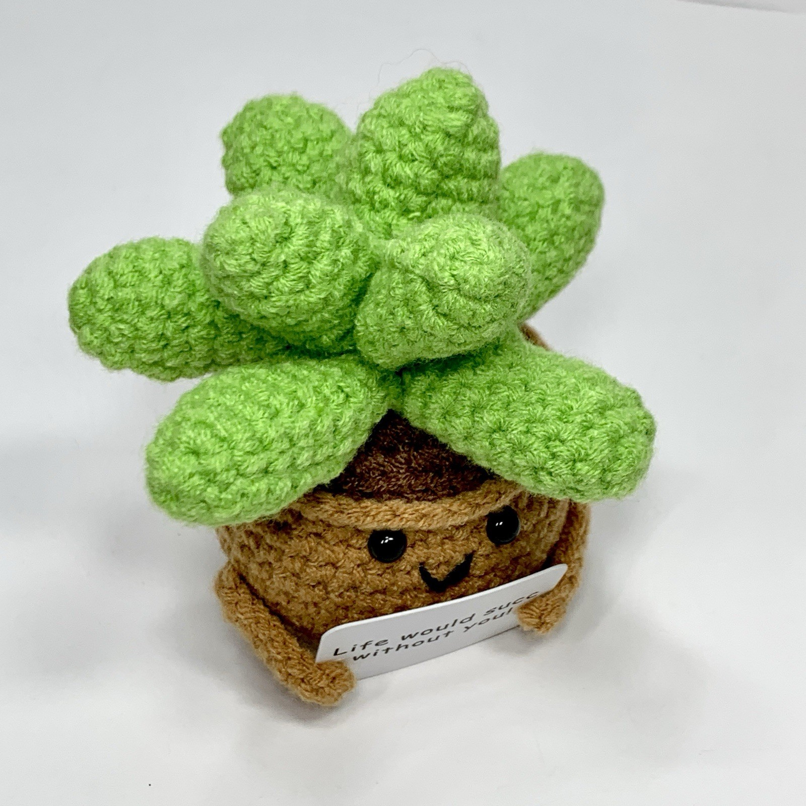Small Novelty Crochet Succulent Potted Plant Saying Life Would Succ Without You