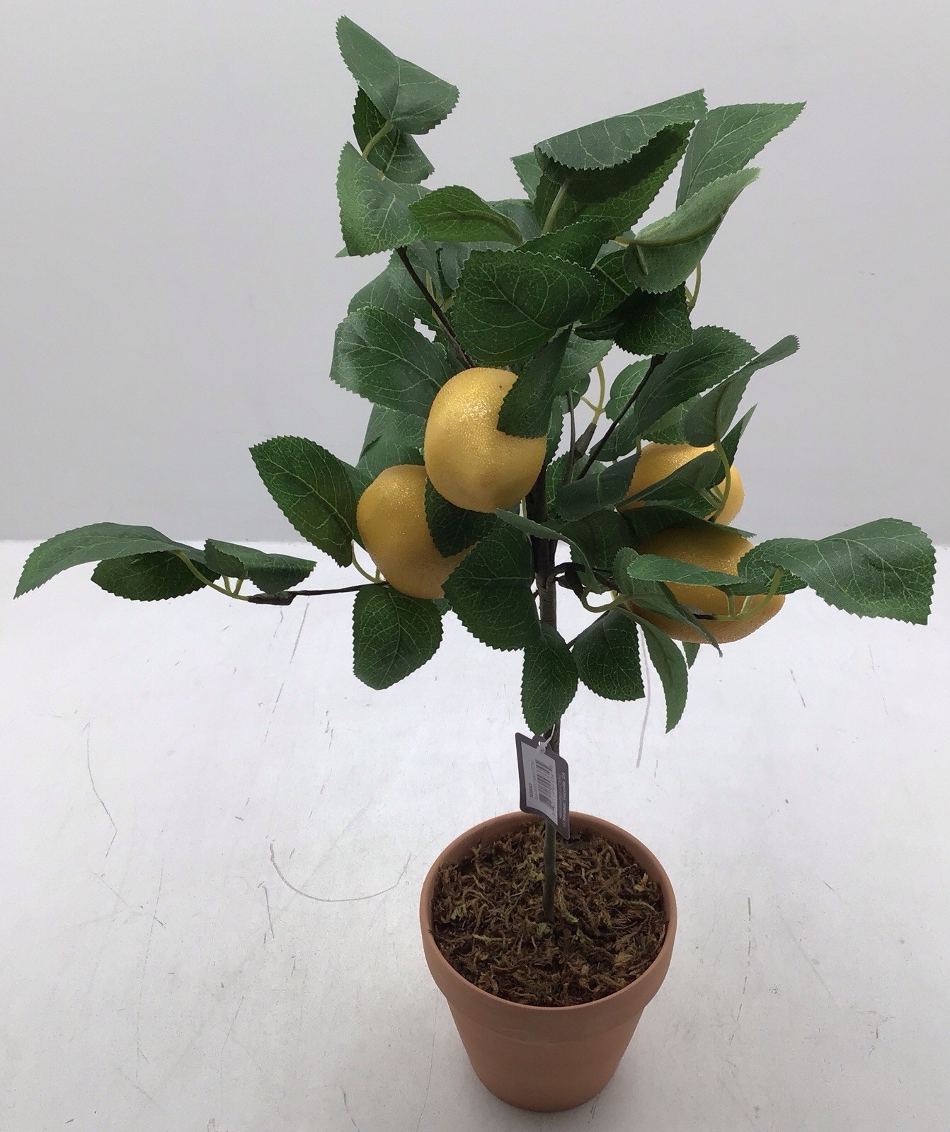 Transpac Faux Lemon Tree in Terracotta Pot Tabletop Plant 20 Inches Tall