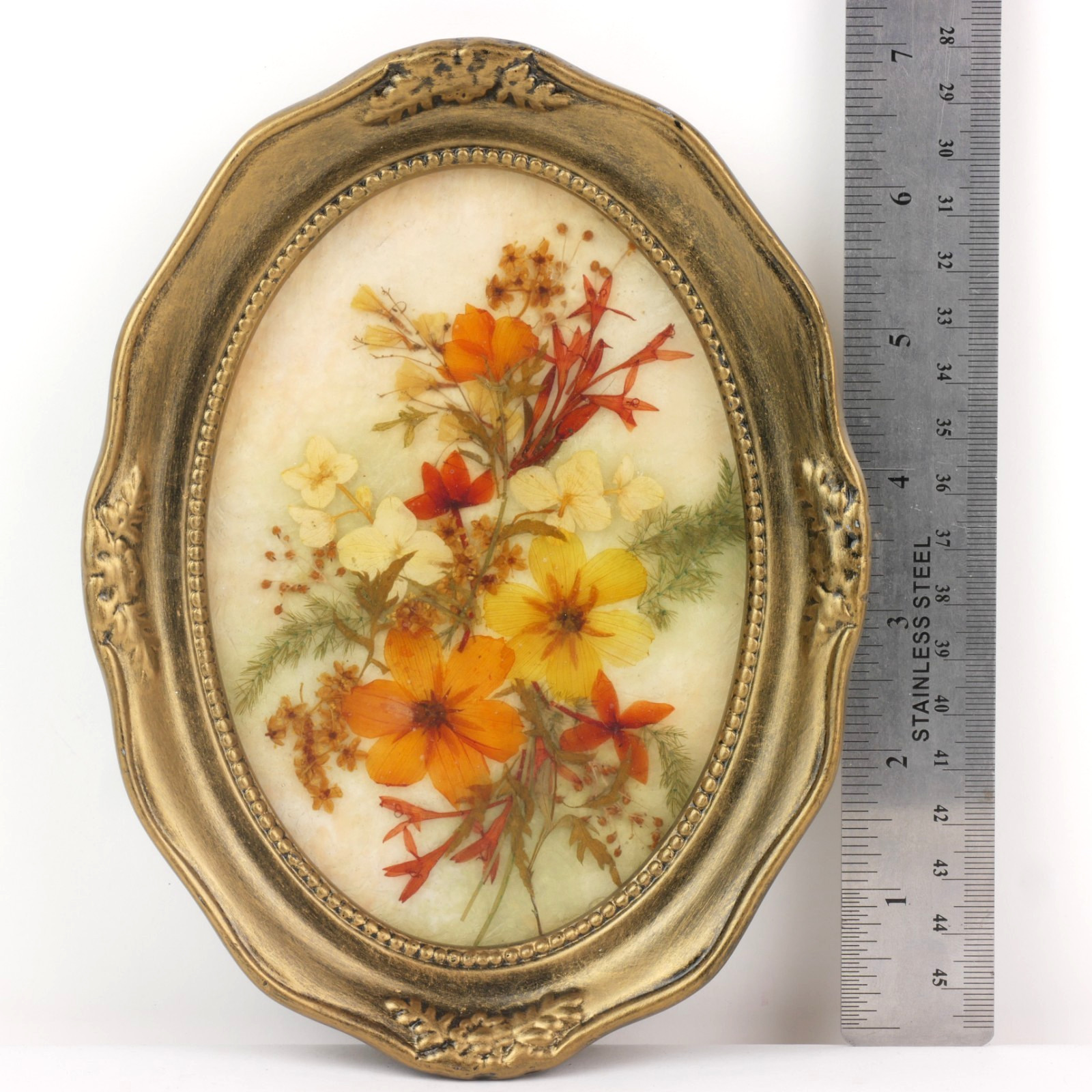 Vintage 1999 Fibretec Sri Lanka Preserved Real Tropical Flower Art Oval Frame
