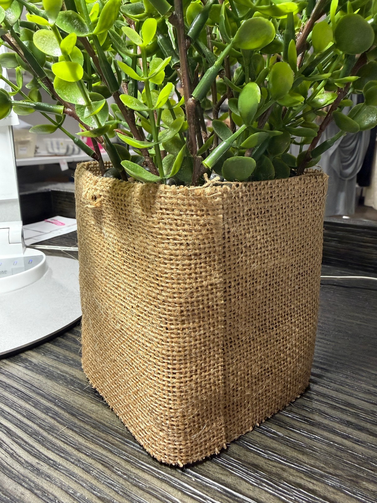 Lot of 3 artificial house plants: pathos, boxwood, and peony EUC