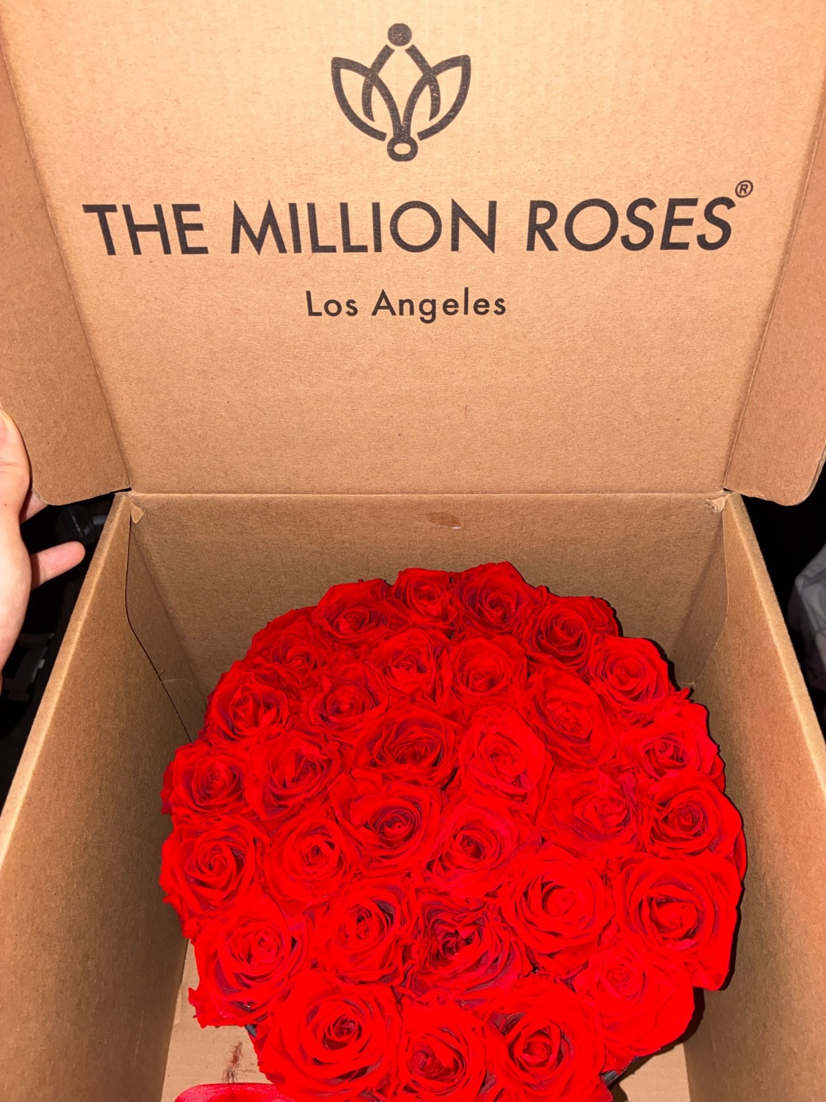 THE MILLION ROSES