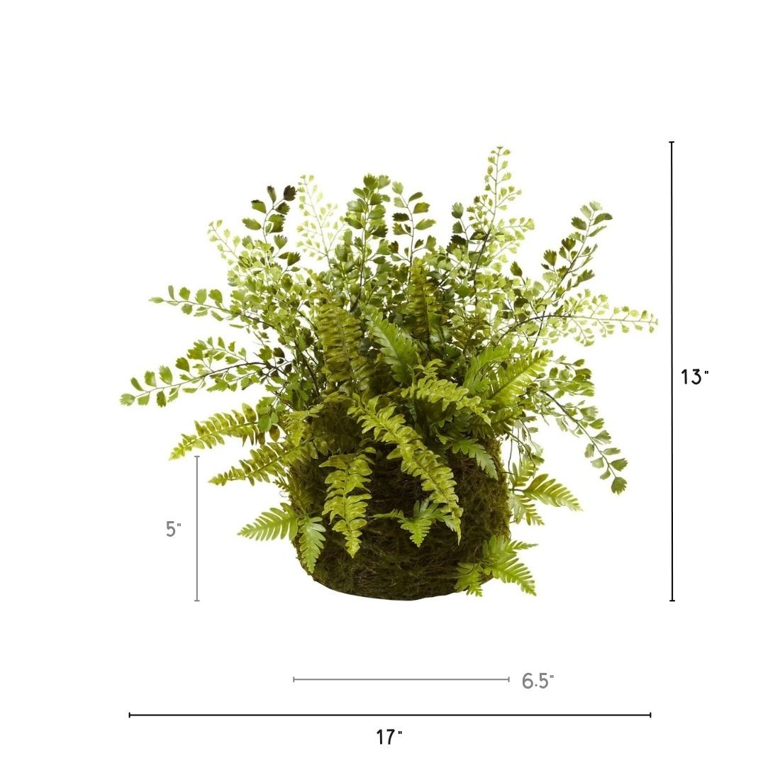 Mixed Fern w/Twig and Moss Basket