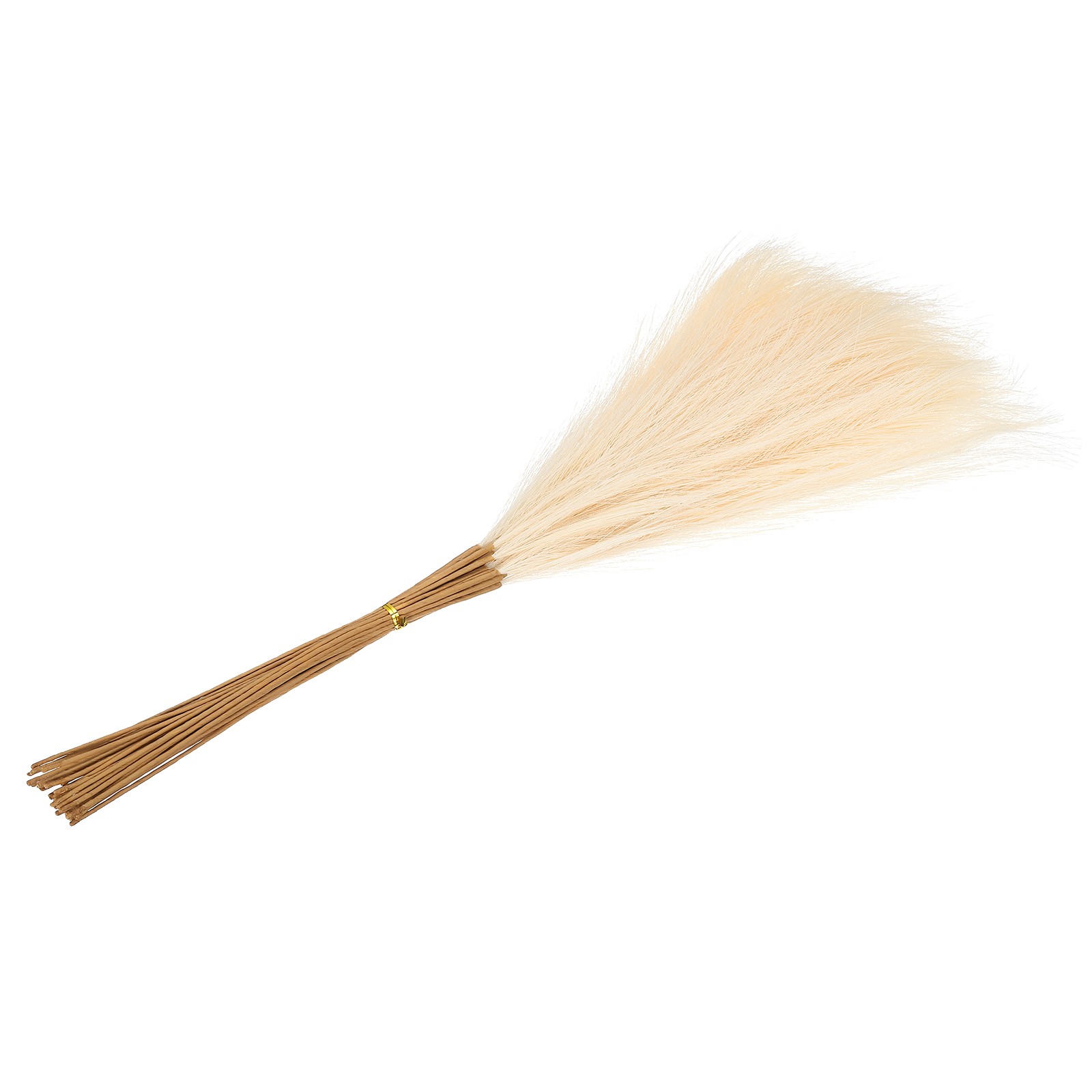 24in Pampas Grass Decor, 30pcs Artificial Pampas Grass Bulk Fluffy,Beige