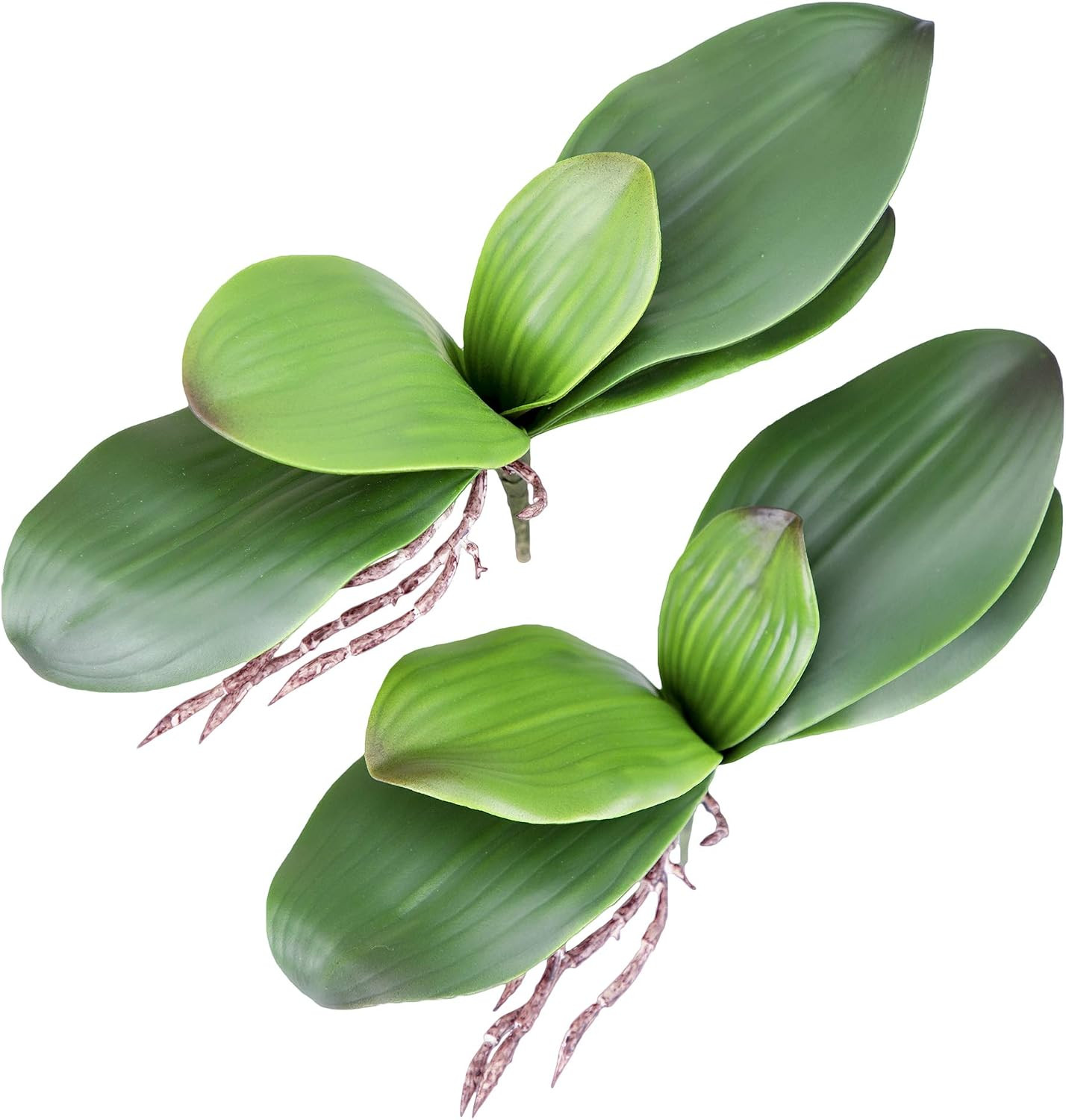 Orchid Leaves Artificial Phalaenopsis Stems Leaf Real Touch 8″ 2Pcs | Faux Cymbi