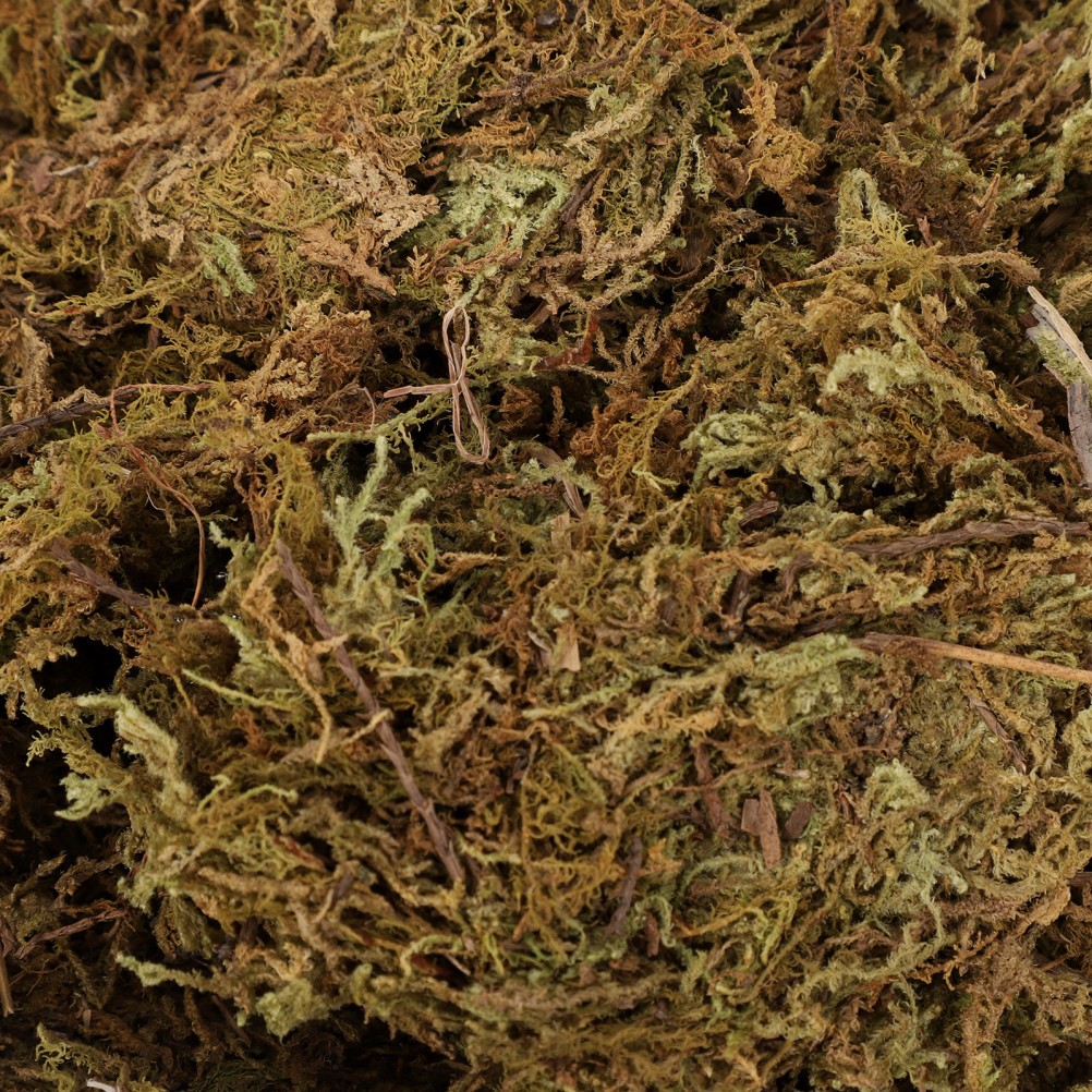 2 Packs Gardening Dried Moss Natural Moss for Flowerpot Moss Landscaping