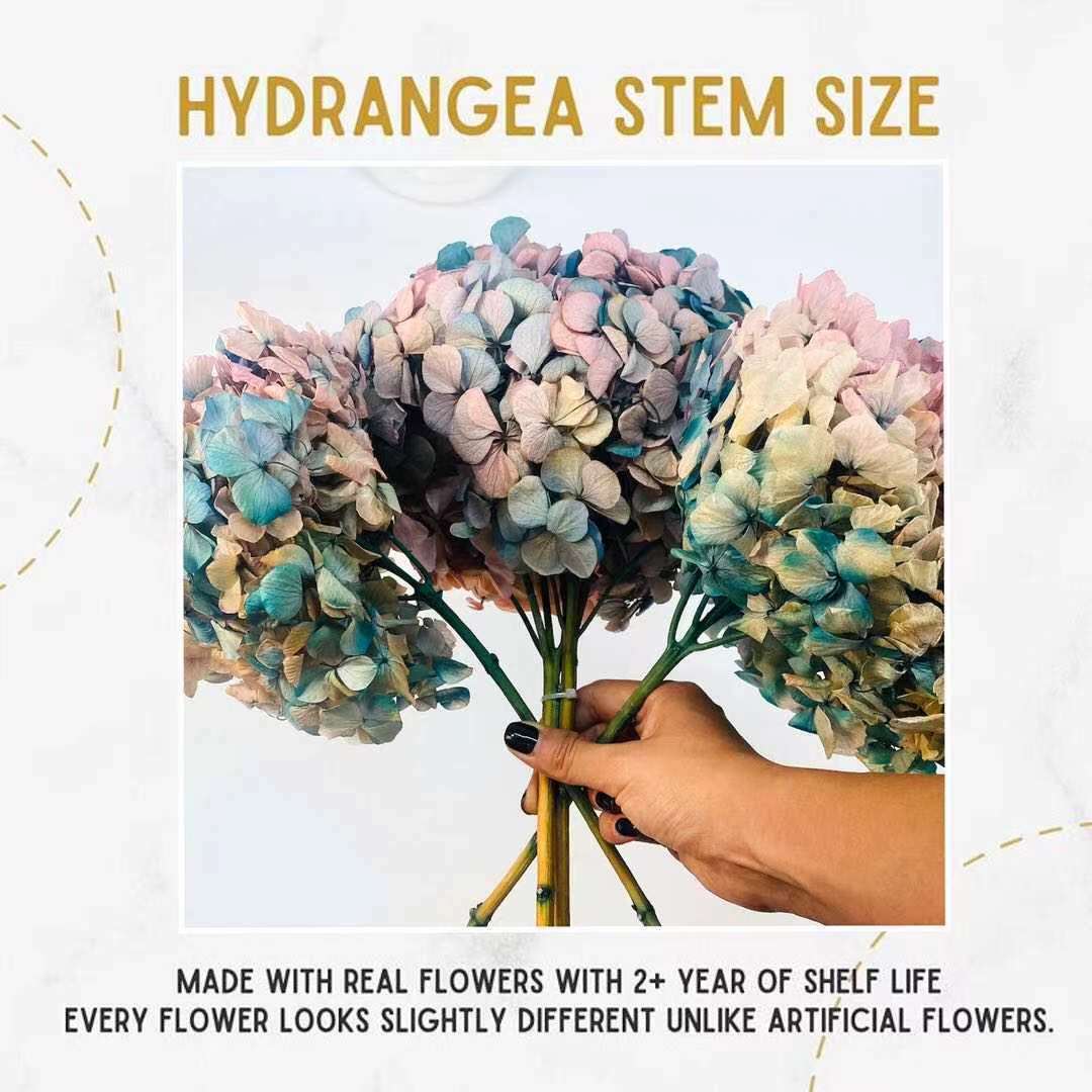 Preserved Hydrangea Big Leaf Dried Flowers Home Wedding Bouquet Decor