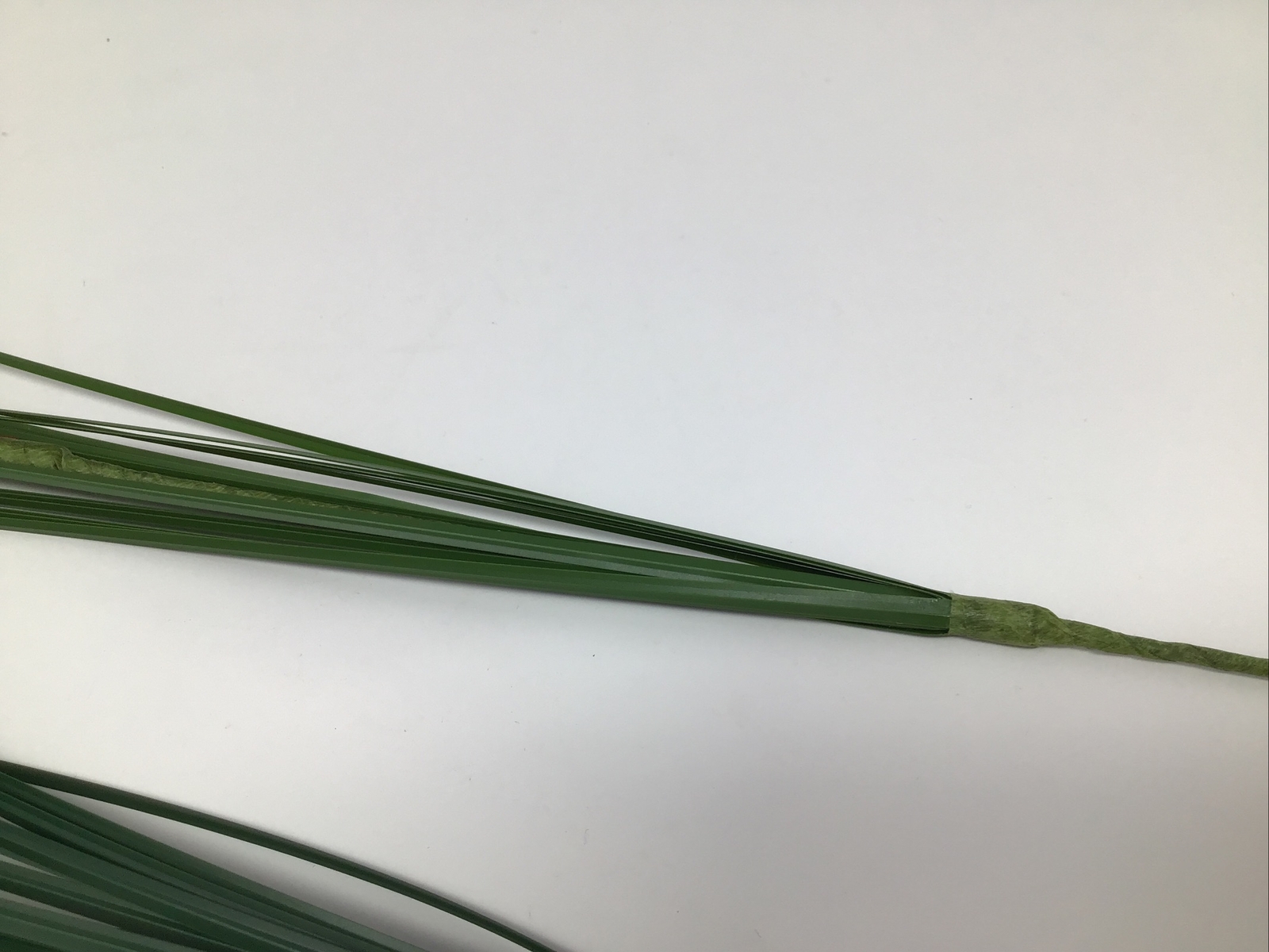 Onion Grass Floral Pick Green 27” Arrangement Basket Filler 2 Picks NOS