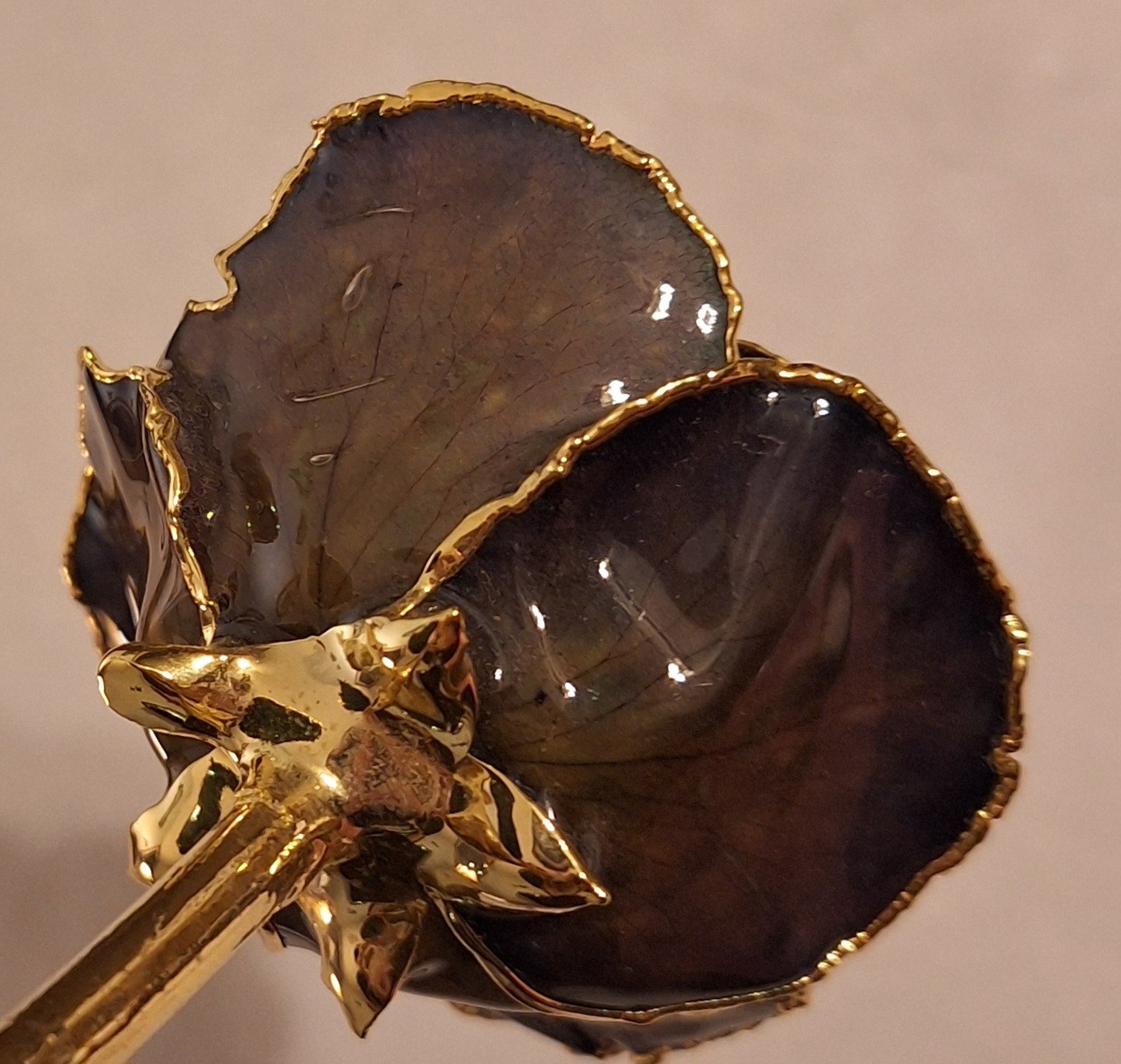 24k Gold Dipped Real Rose