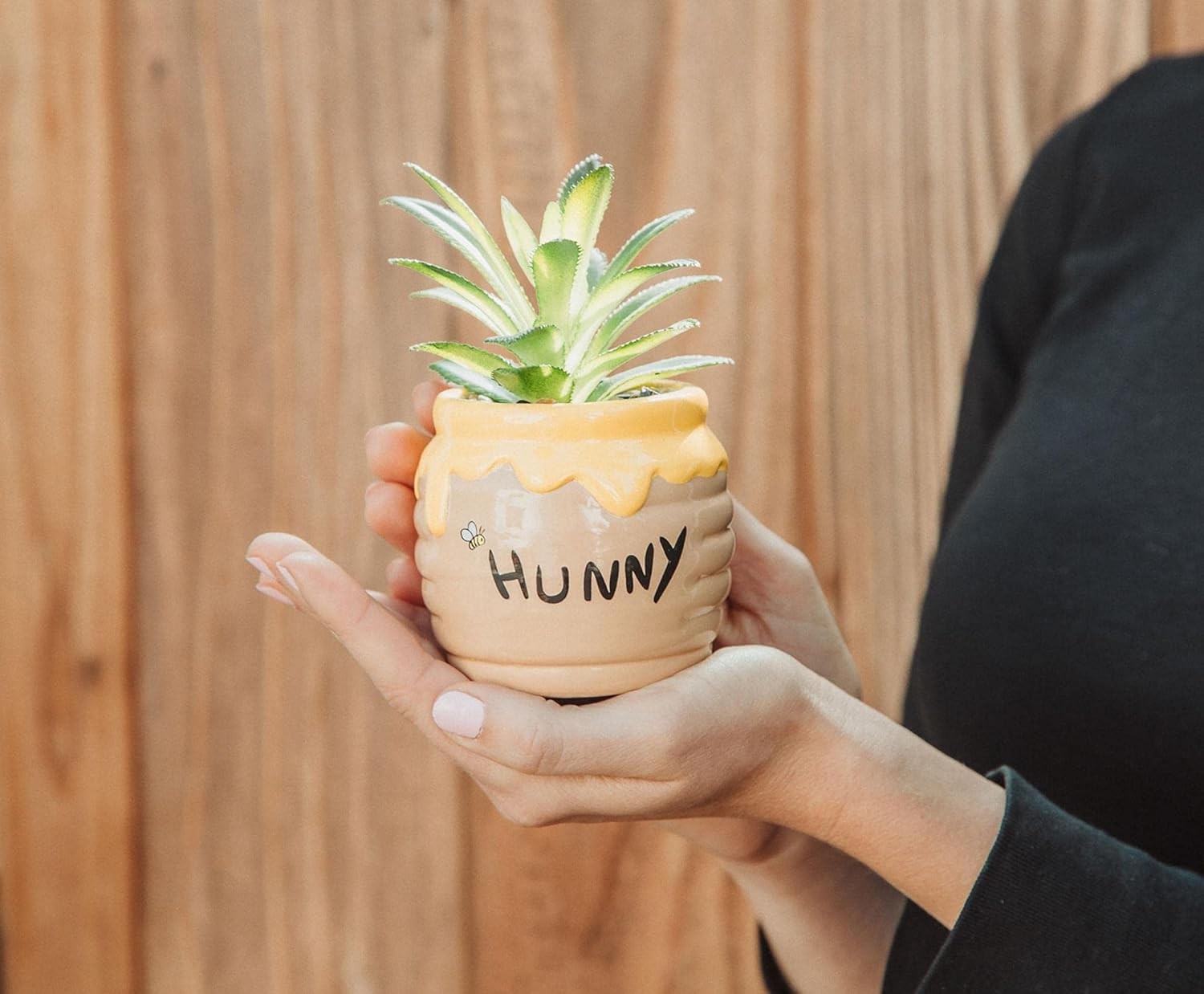 Disney Hunny Pot 3-Inch Ceramic Mini Planter with Artificial Succulent | Smal…