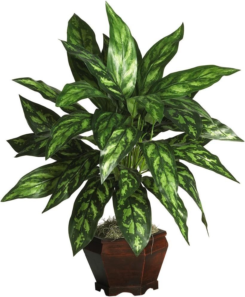 Elegant Silver King Silk Plant in Stylish Wood Vase