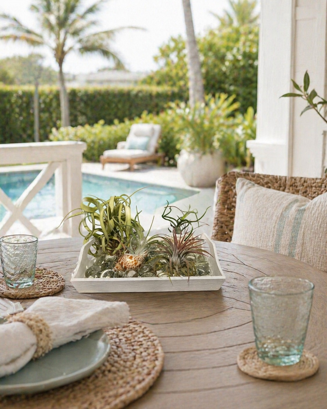 Air Plant Display Kit 4 Tillandsia Tray Glass Gems Shells Coastal Live Decor
