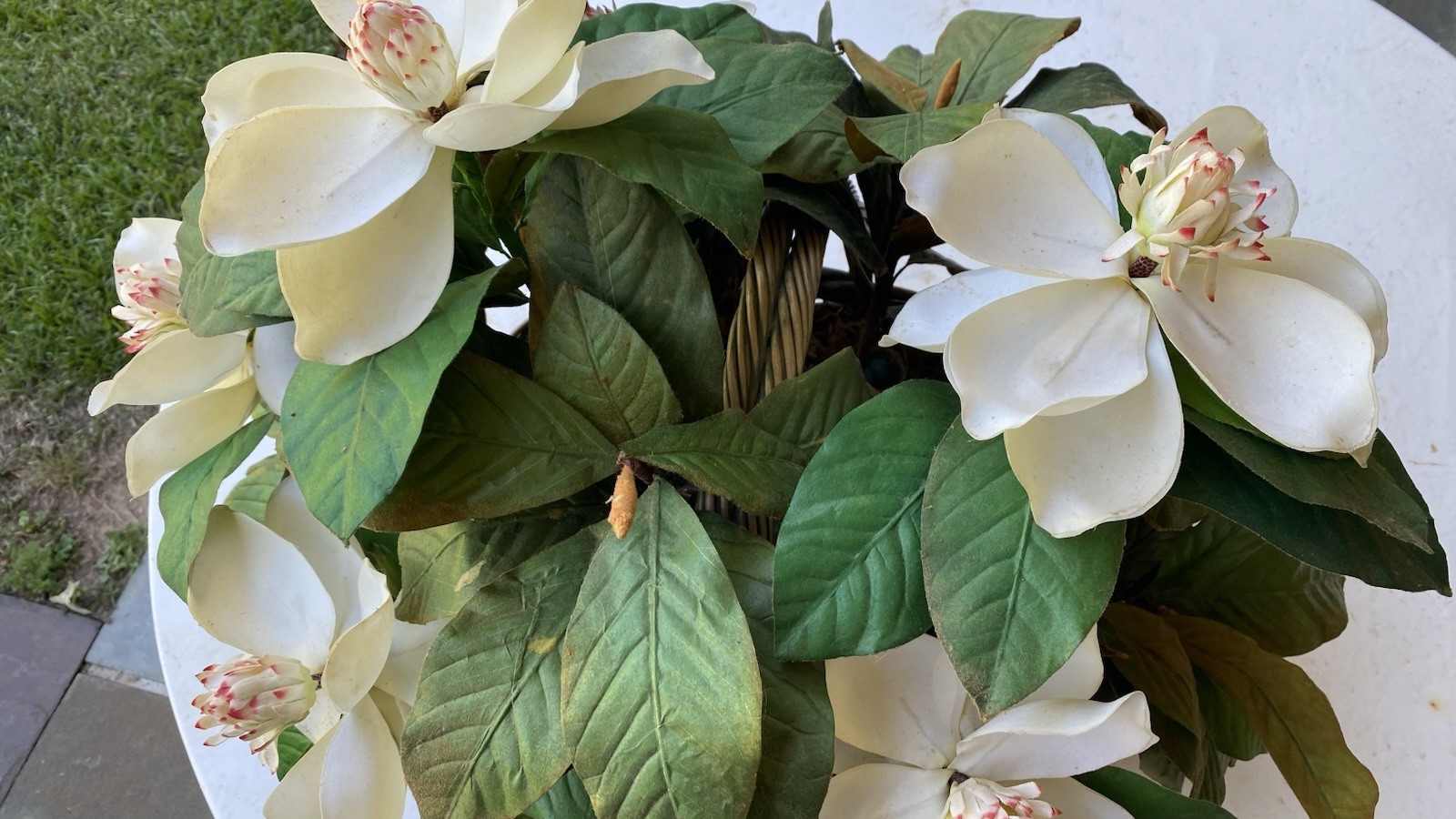 NDI Arrangement Large Basket Of Magnolias Vintage Approx 24”X20” Very Realistic