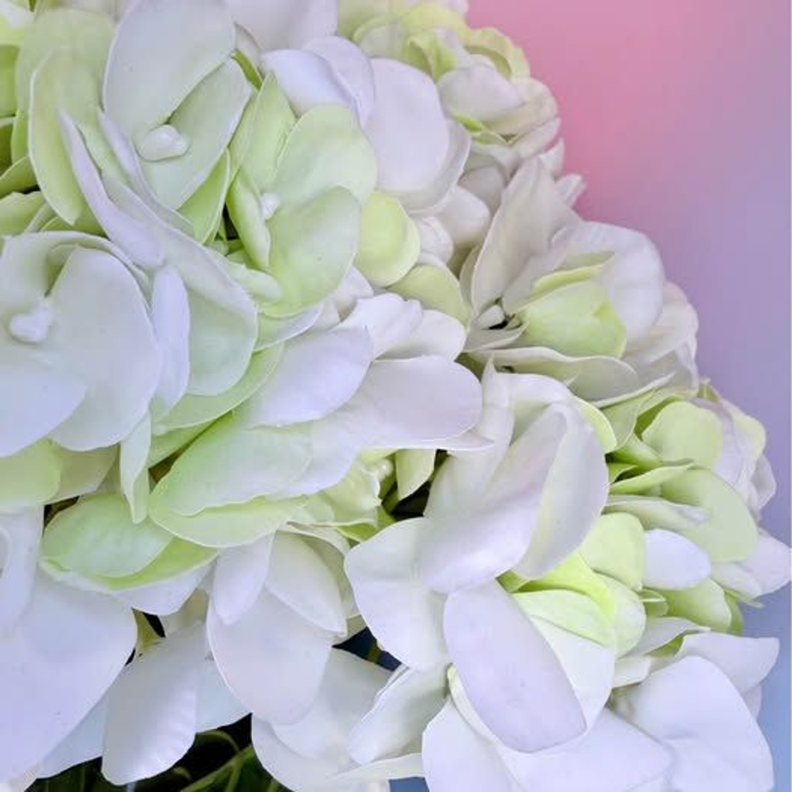 Martha Stewart Real Touch Hydrangea 24in 3 Stem