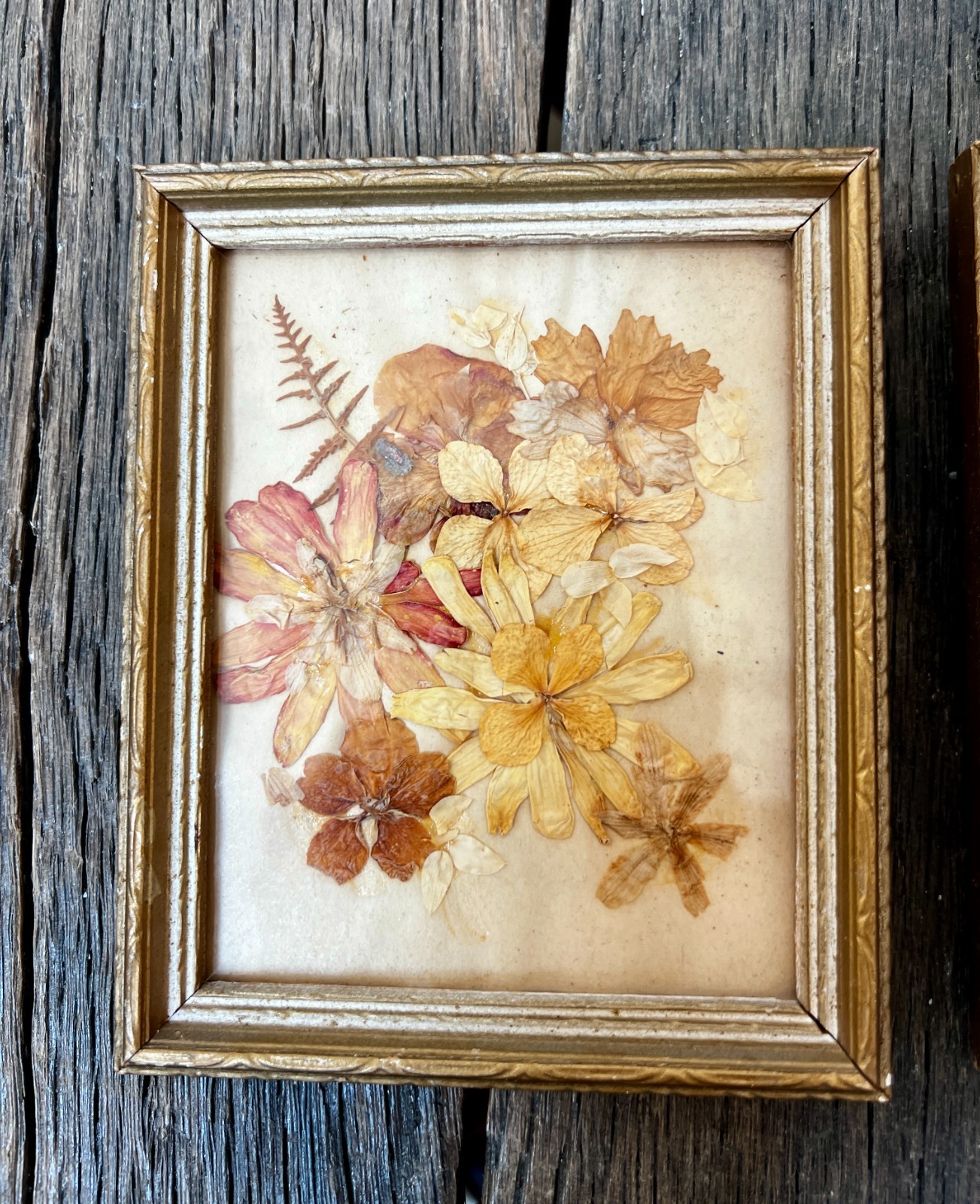 Vintage Dried Flower Artwork Set – Gold Wood Frame Wall Art (5 3/4″)
