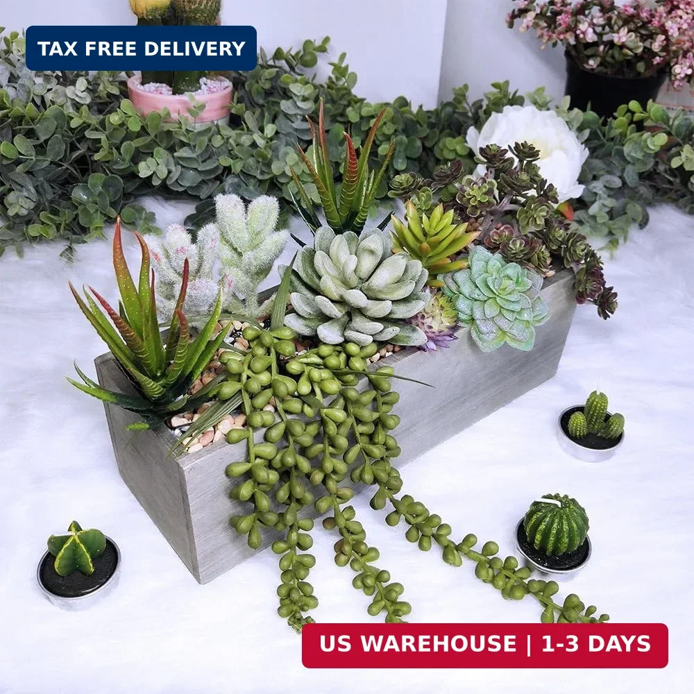 Supla Artificial Potted Succulents Plants Arrangement Fake Succulent Plants in R