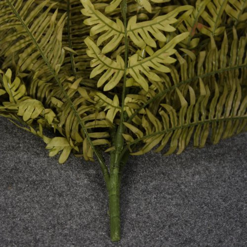 1 Piece Butterfly Boston Fern x36 Fronz 00300643
