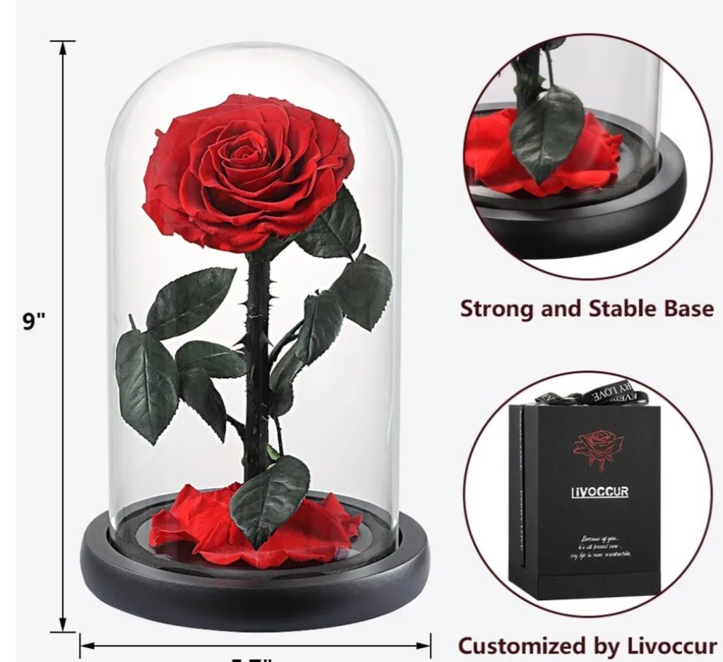 Livoccur Preserved RED ROSE in Glass DOME 4.7″×4.7″×7.5″ Stand