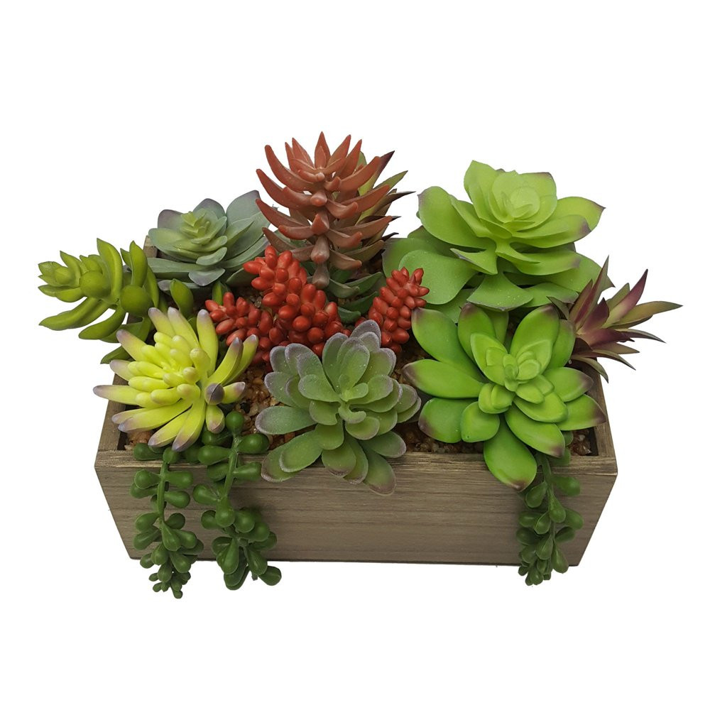 ARTIFICIAL MIXED SUCCULENT PLANTS 7.5 In High in Wood Box