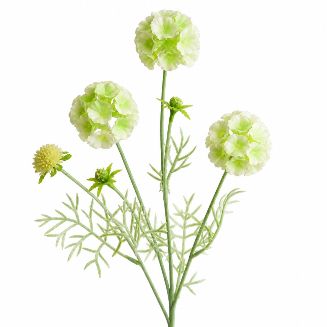 Artificial Scabiosa Flower Stems Green White Faux Wildflower Cottage Floral Fill