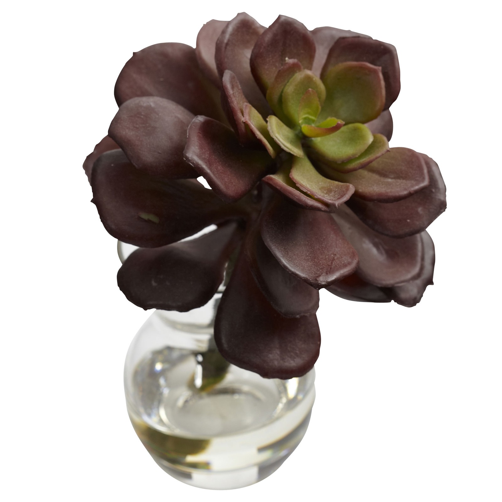 5.5 Inch Succulent Arrangements Set of 3 Faux Plants in Mini Vases with Liquid