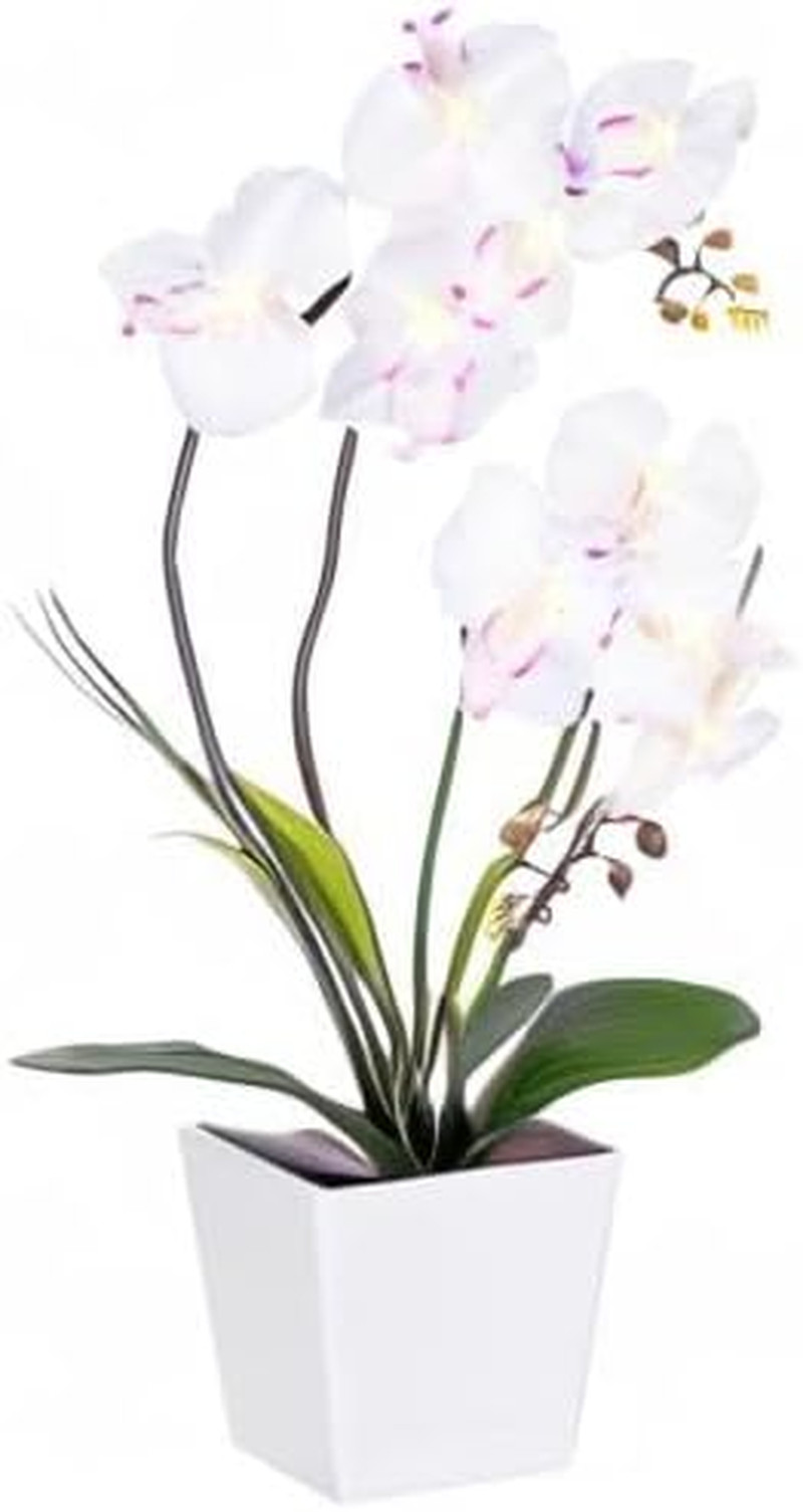 Homeseaons Orchid Lamp-Led Lighted Orchid Arrangements,Pre Lit Artificial Orchid