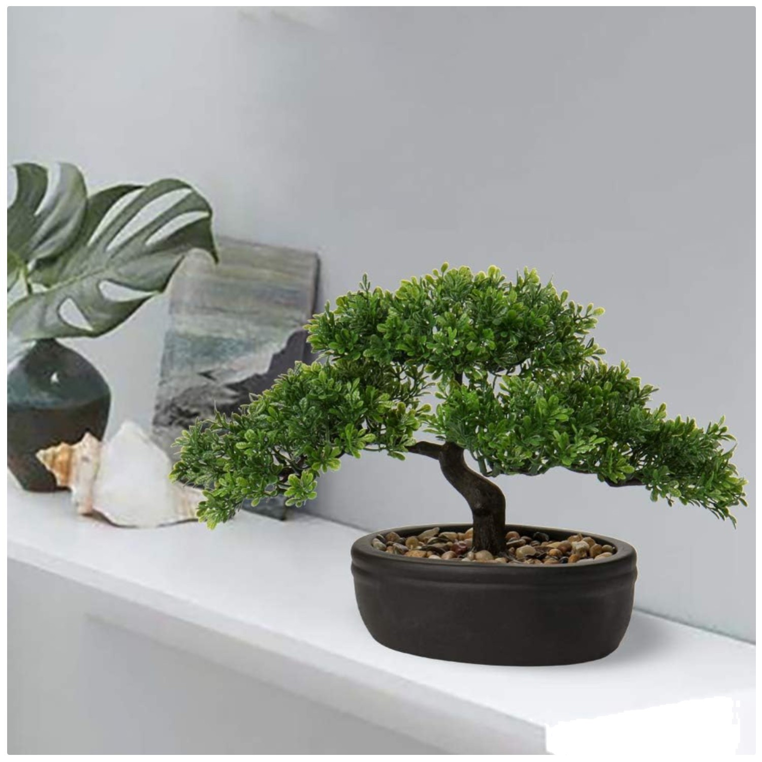 Mini Juniper Bonsai Tree with Ceramic Pot