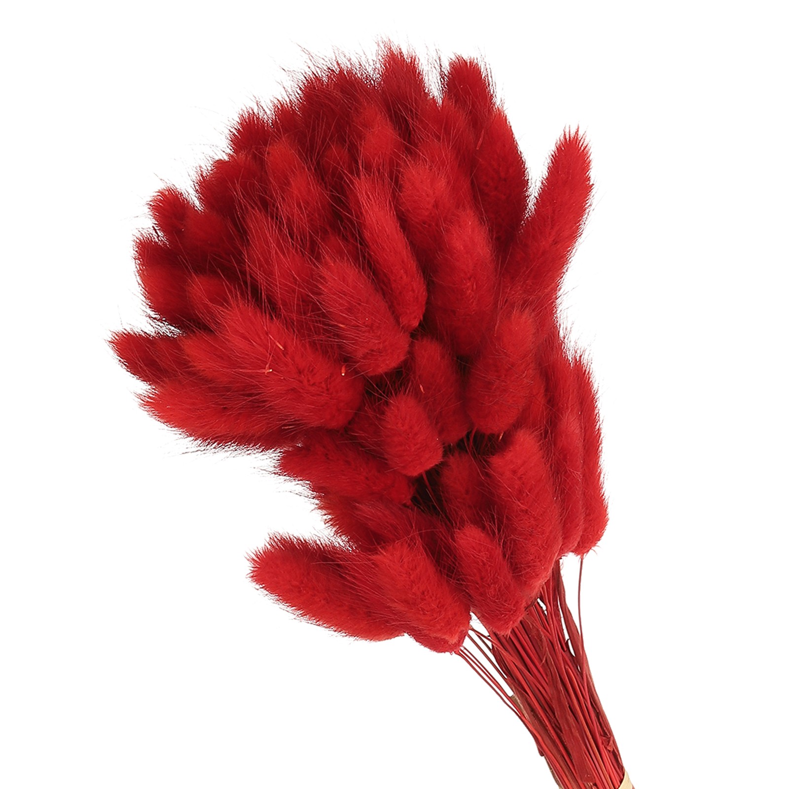15.7in Bunny Tails Dried Flowers, 80pcs Pampas Grass Decor Rabbit Tail, Red