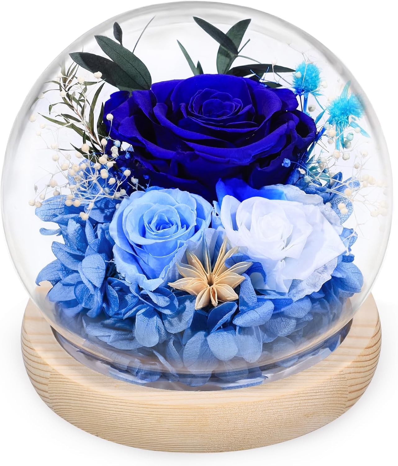 FIACO Valentines Day Gifts for Her Preserved Rose Forever Fresh Flowers for Deli