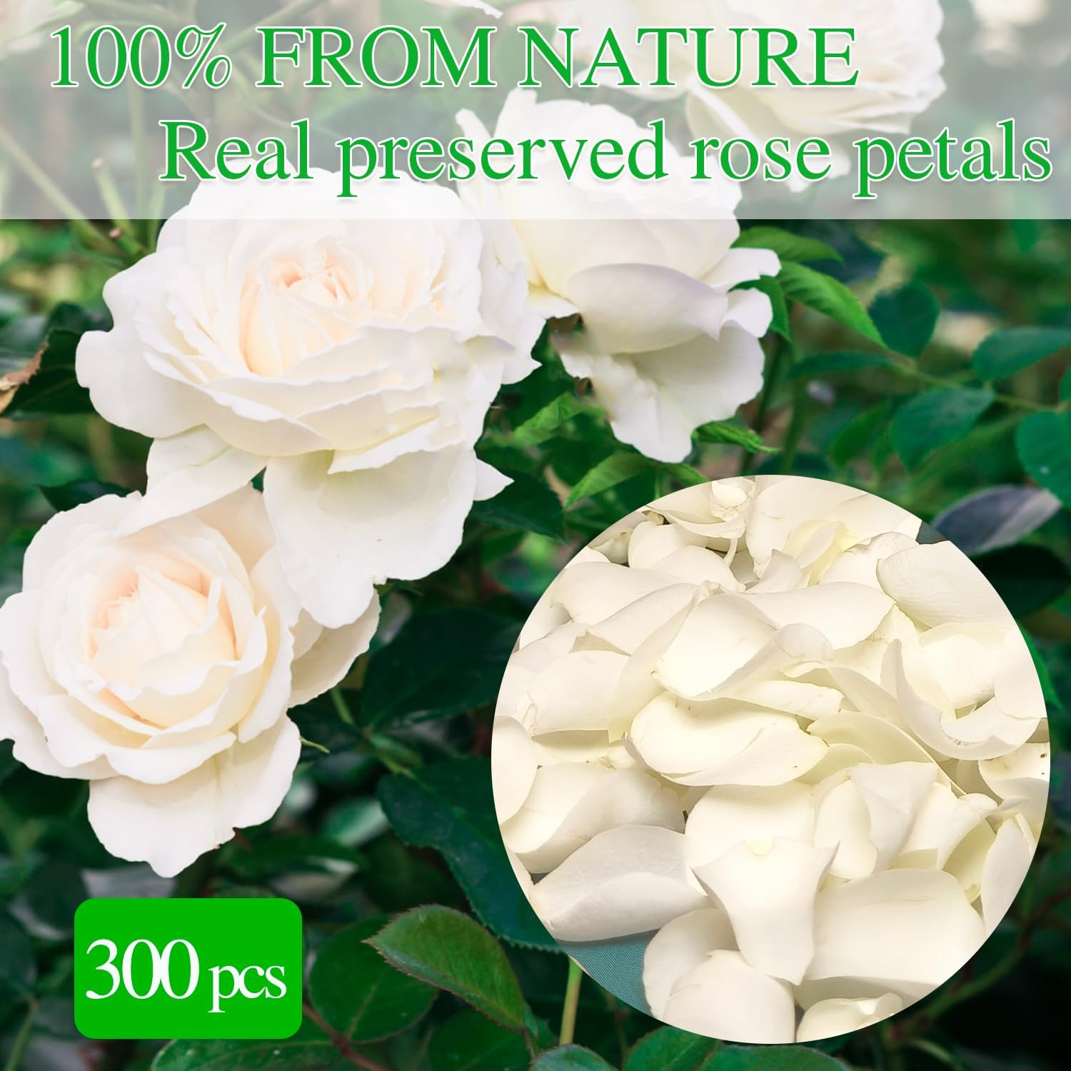 300Pcs Dried Real White Rose Petals, Freeze Preserved Flower Petals 2.8 Oz for G