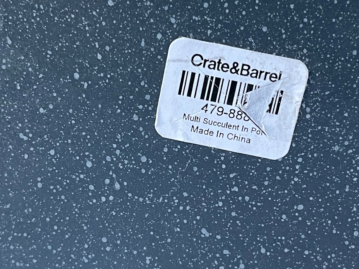 CRATE & BARREL ~ FAUX SUCCULENT ARRANGEMENT IN GRAY CERAMIC PLANTER ~ 12″x5″x3″
