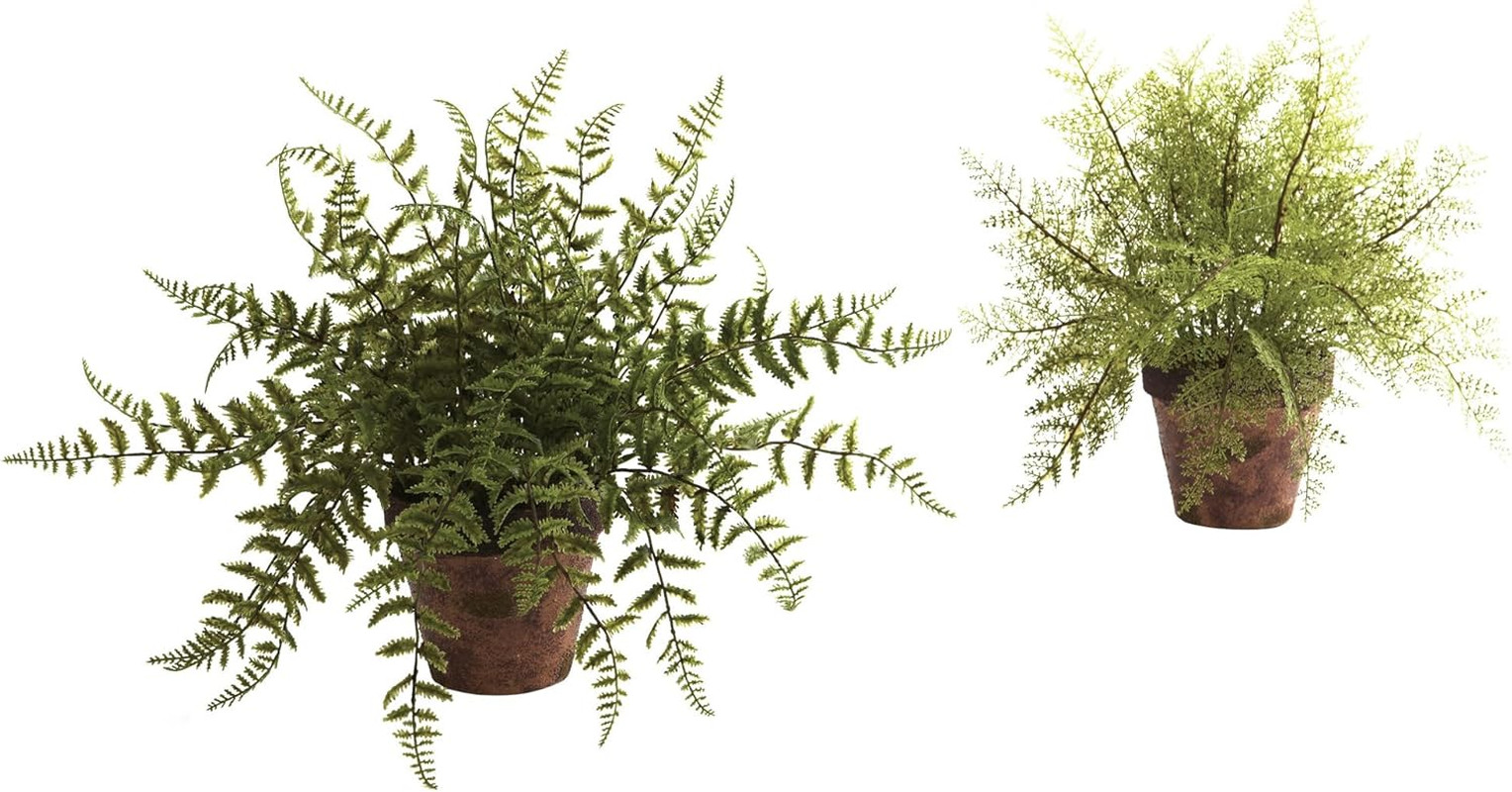 Charming Ferns with Elegant Planters – Set of 2 for Home Decor