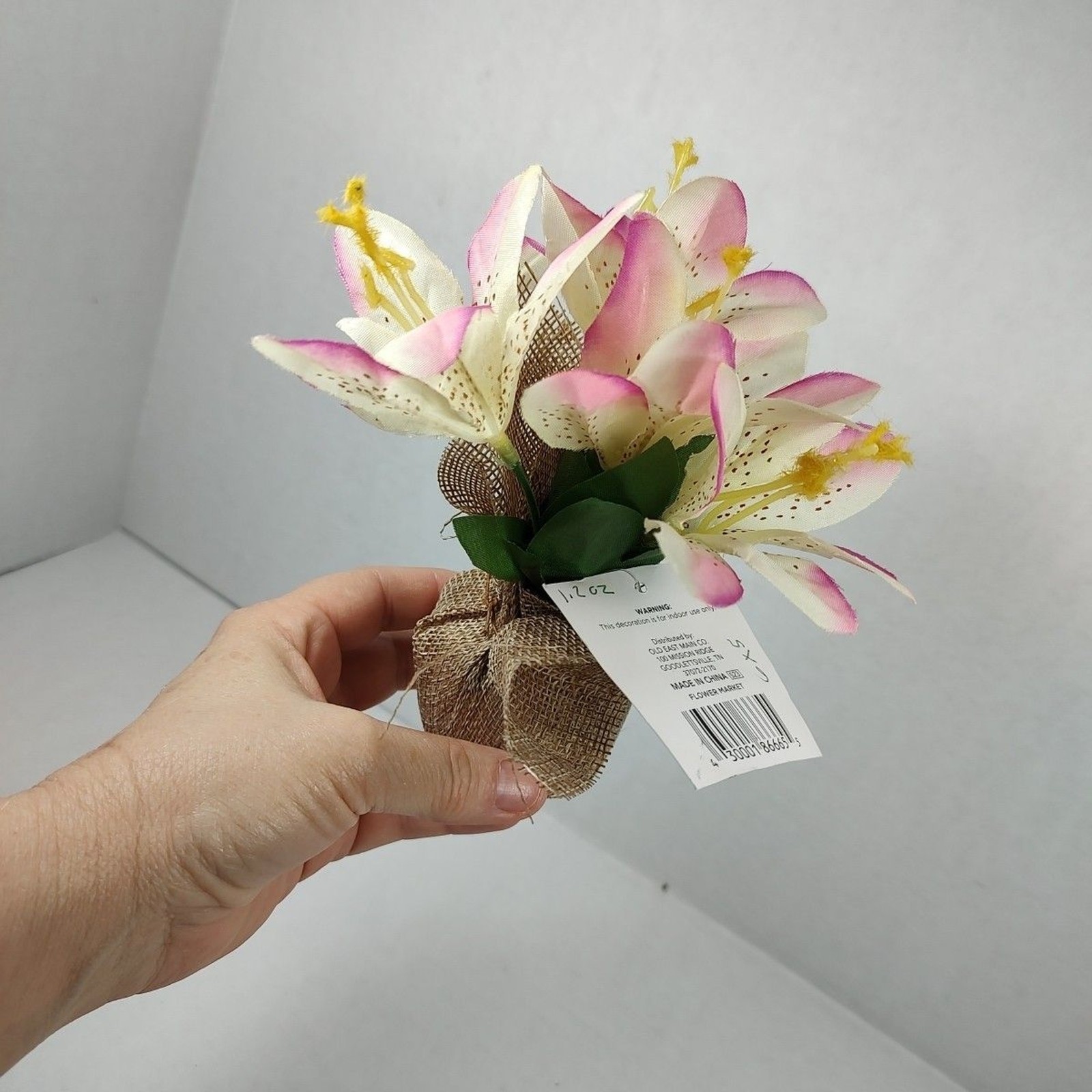 Trueliving Floral Arrangement Flower Bouquet Mini Potted Plant 6″ x 5″ Lily