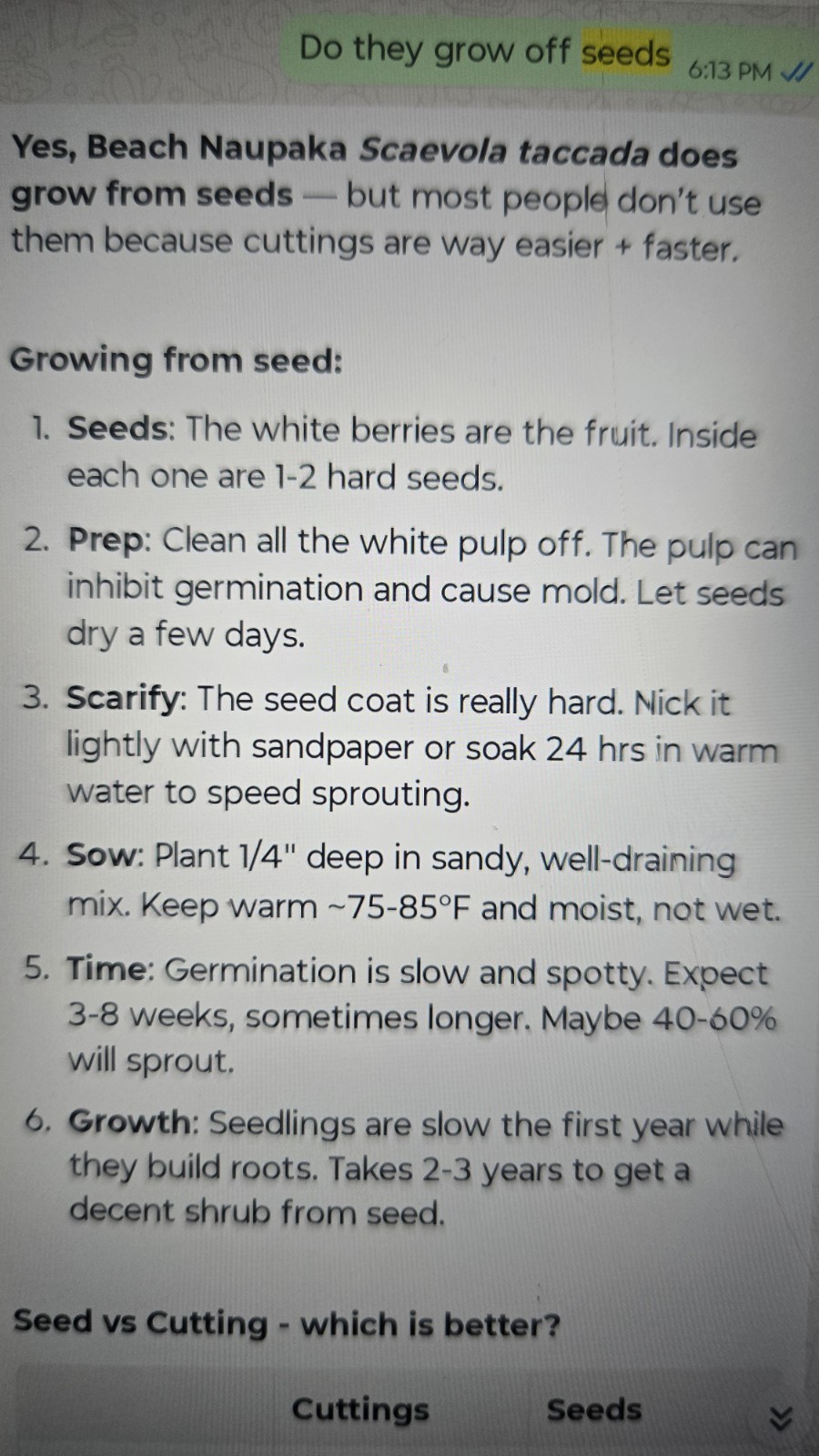 Beach Naupaka Seeds Or Branches For Growing SEA LETTUCE Tree Scaevola Taccada FL