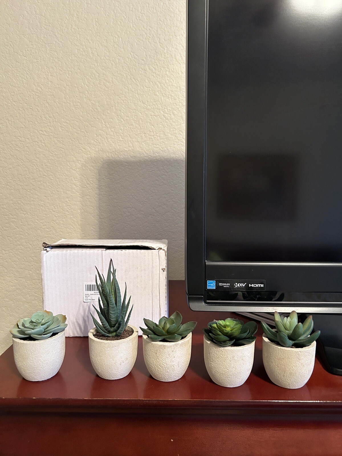 Artificial Succulents with Gray Pots – Set of 5 – New in Box