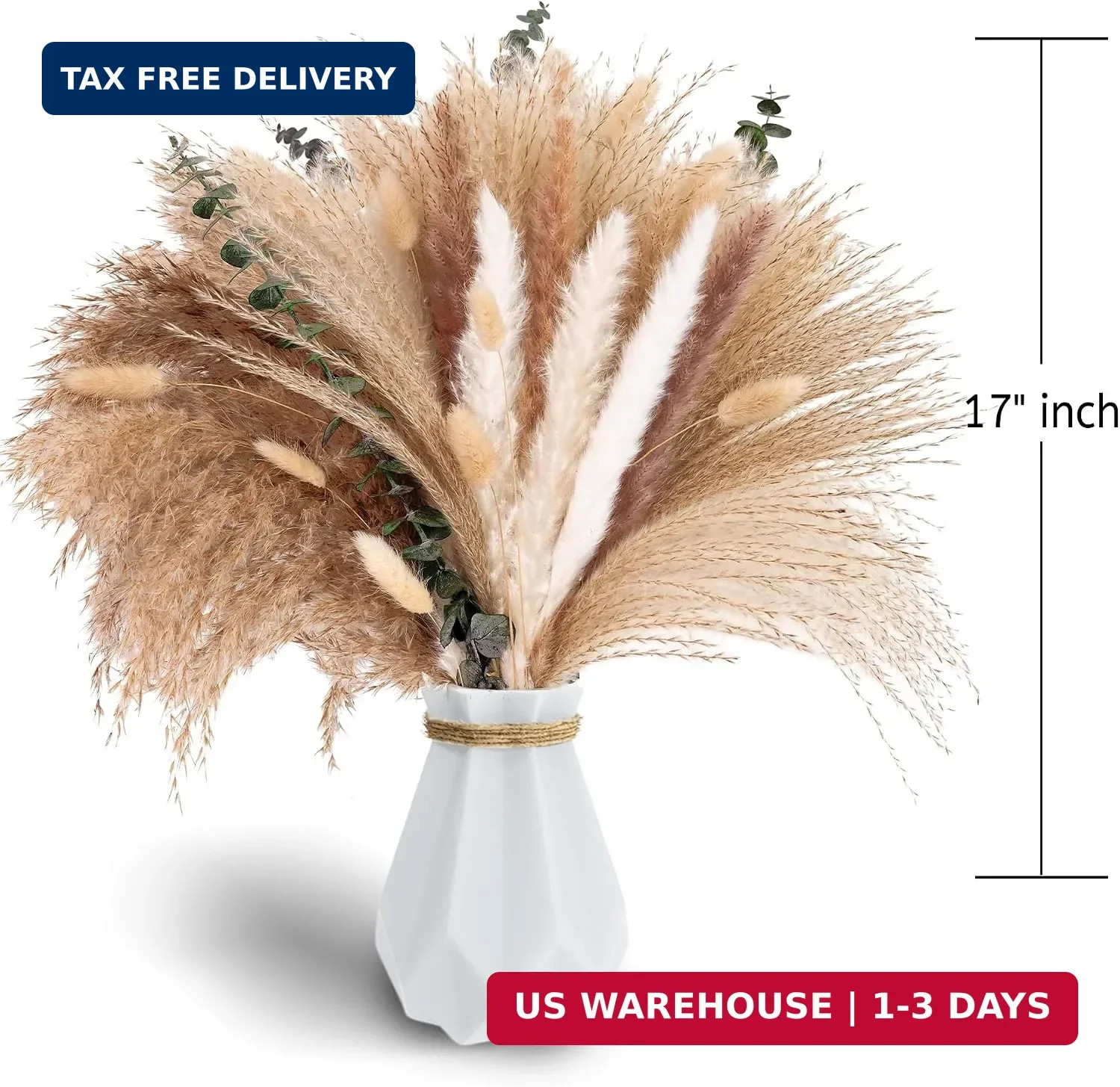 Pampas Grass Decor, Dried Flower Bouquet with Bunny Tail Grass, Pampas Grass & E