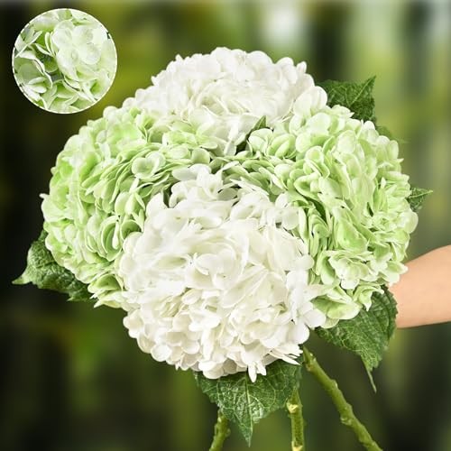 4 Pcs Hydrangea Artificial Flowers, 2 Green & 2 White Real Touch Flowers, 21″