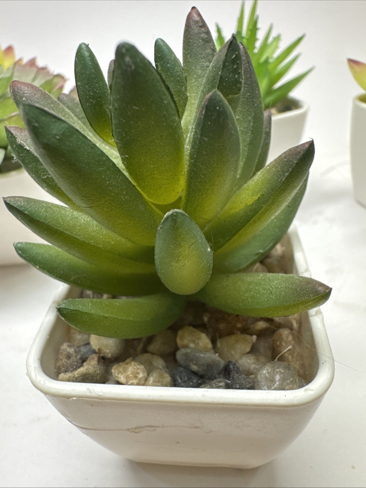 Gift Set of 5 Mini Artificial Succulent Plants in Square White Plastic Pots