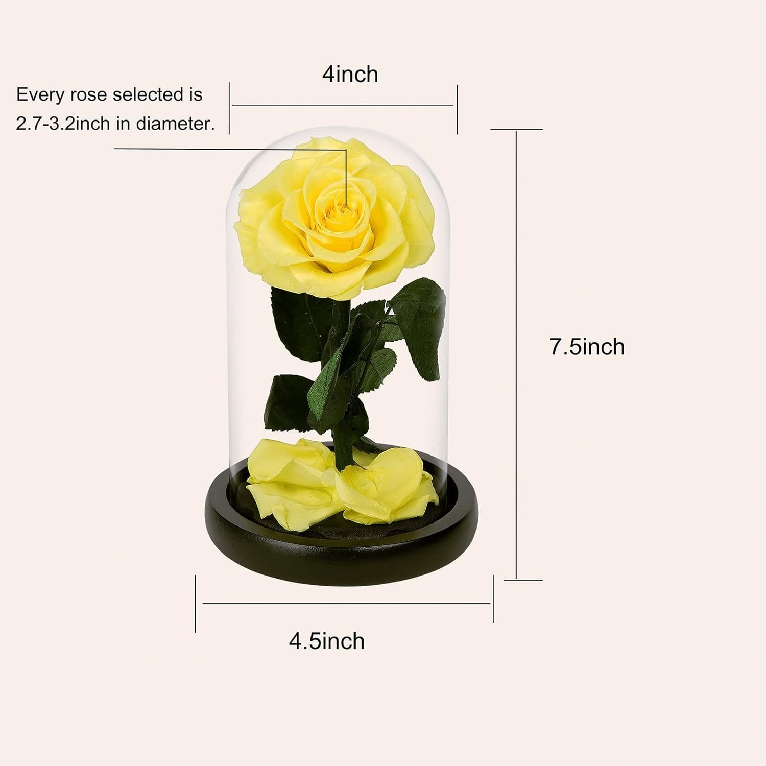 NATROSES Yellow Natural Preserved Rose in Glass Dome & Black Gift Box 7.5″H x 4″