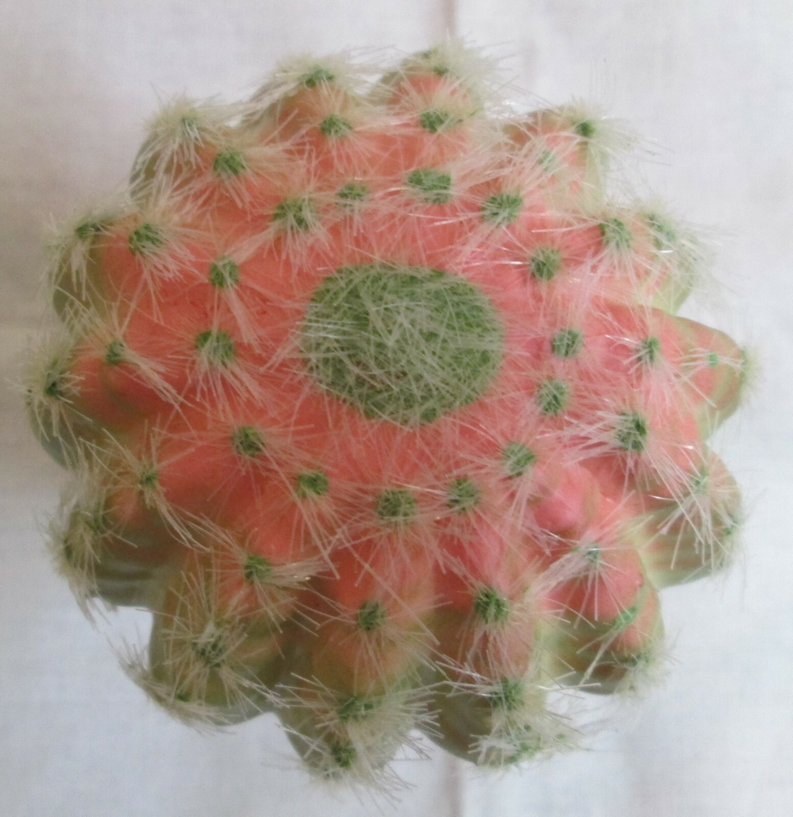 Pier1, Faux mini succulent in coral pot/ 4″x2.75″x2.75″