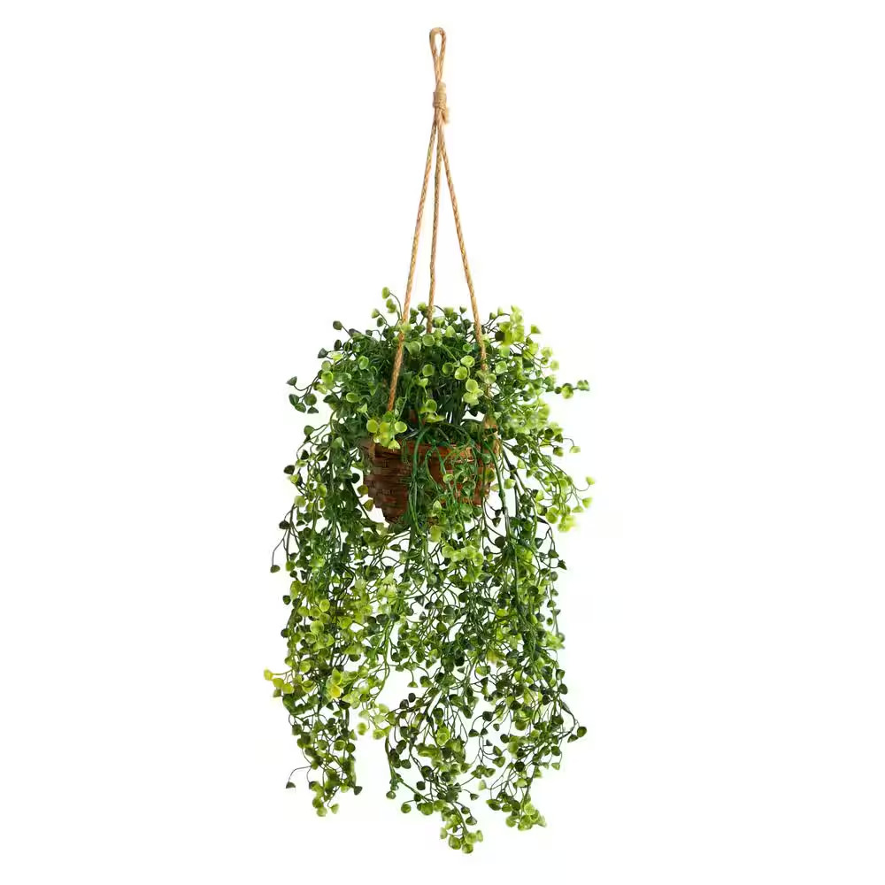 20 In. D Baby Tear Artificial Plant in Hanging Basket