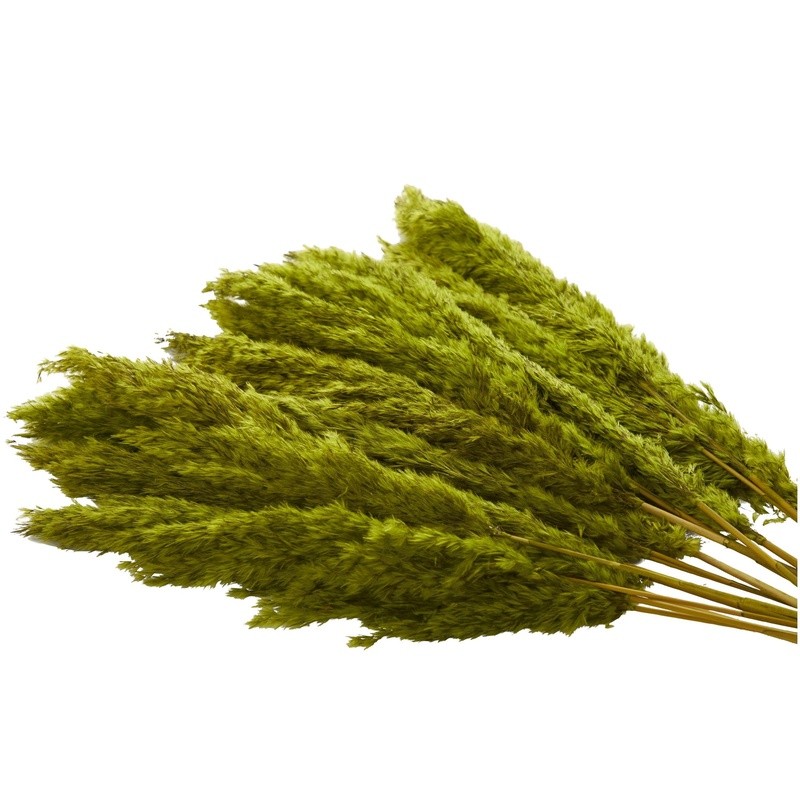 35″ Dried Pampas Grass Natural Foliage Bouquet Long Stems Indoor Decor Plant New