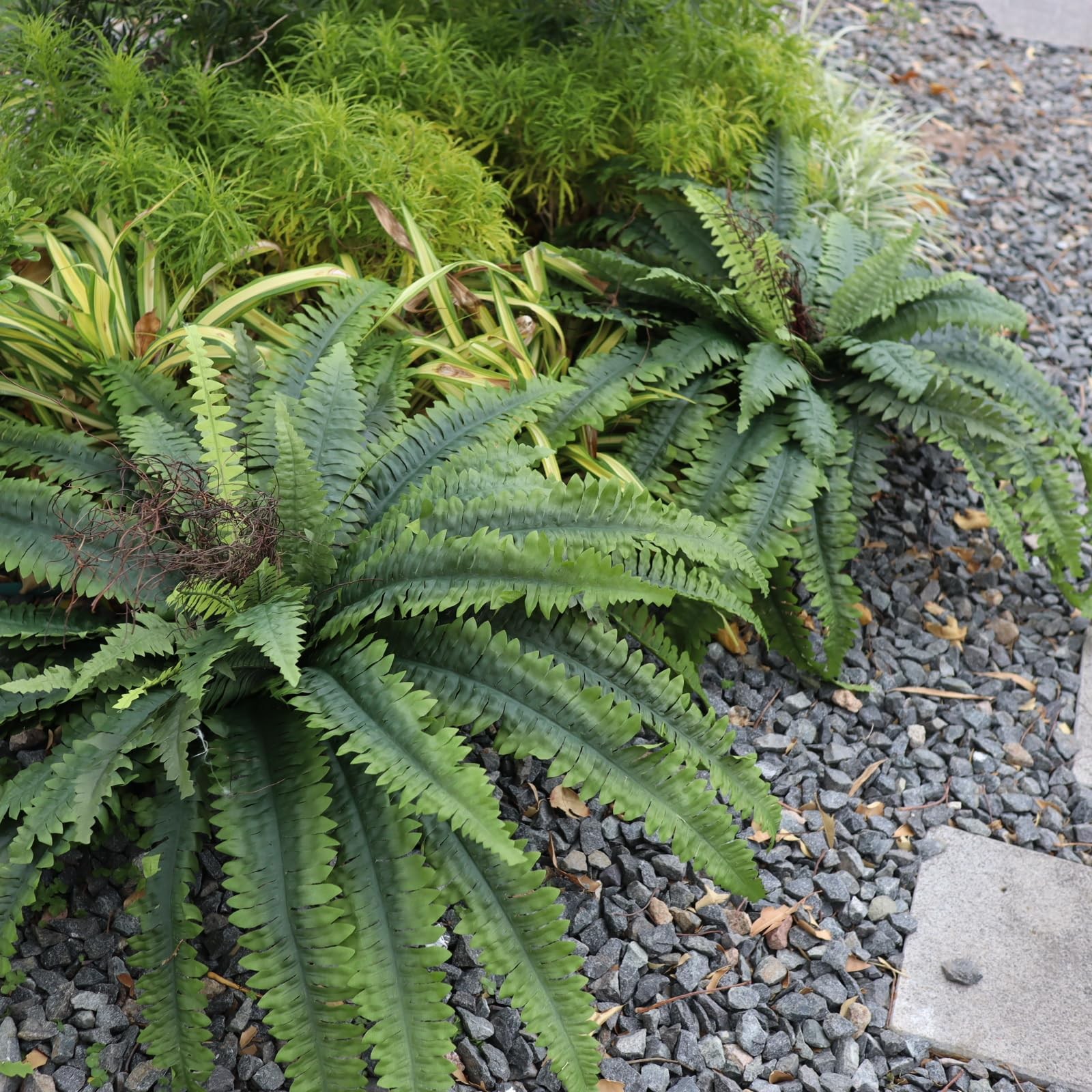 Artificial Ferns for Outdoors & Indoors, 51″ Fake Ferns Artificial Plants Lar…