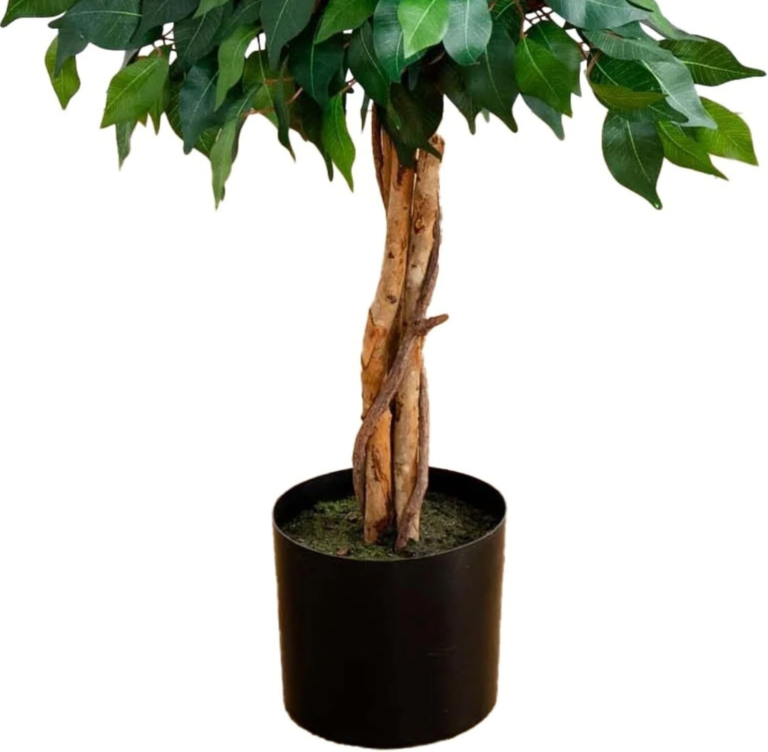 Lifelike 4ft Ficus Silk Tree with Natural Wood Trunks – No Maintenance Needed