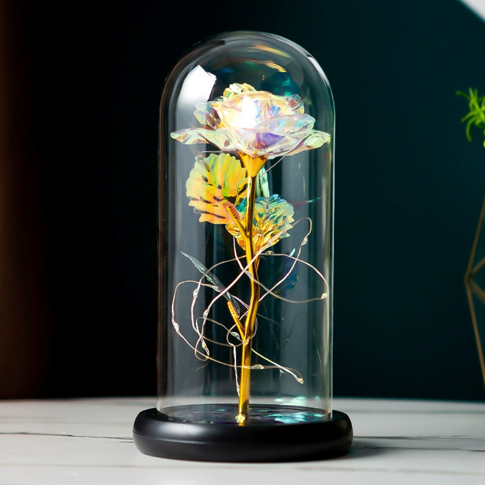Preserved Forever Valentines Day Flower Gifts for Her Glass Light Up Rose Gifts
