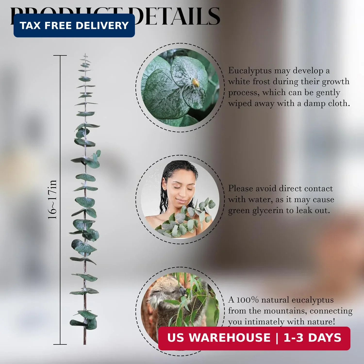 30Pcs Dried Eucalyptus Stems, 17″ Real Preserved Eucalyptus Plant for Shower, Fr