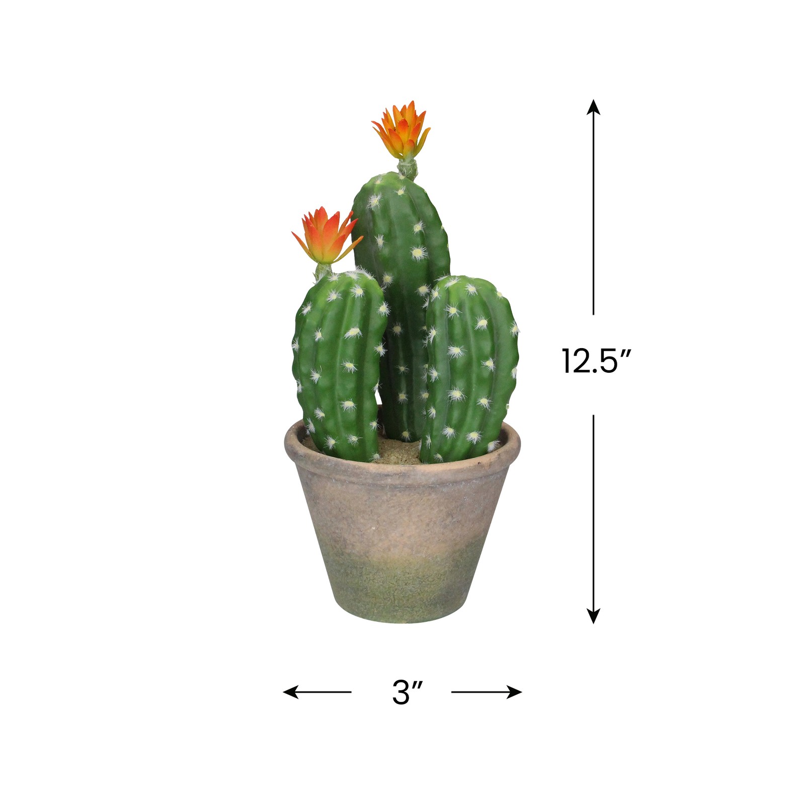 Allstate 12.5″ Green Flowering Column Cactus In A Ceramic Pot With Flowers