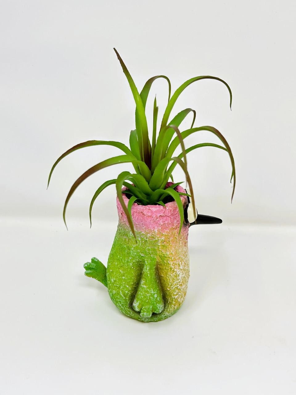 8″ Potted Flit HUMMINGBIRD Blob House Mini pot WITH faux Harrisii Air Plant