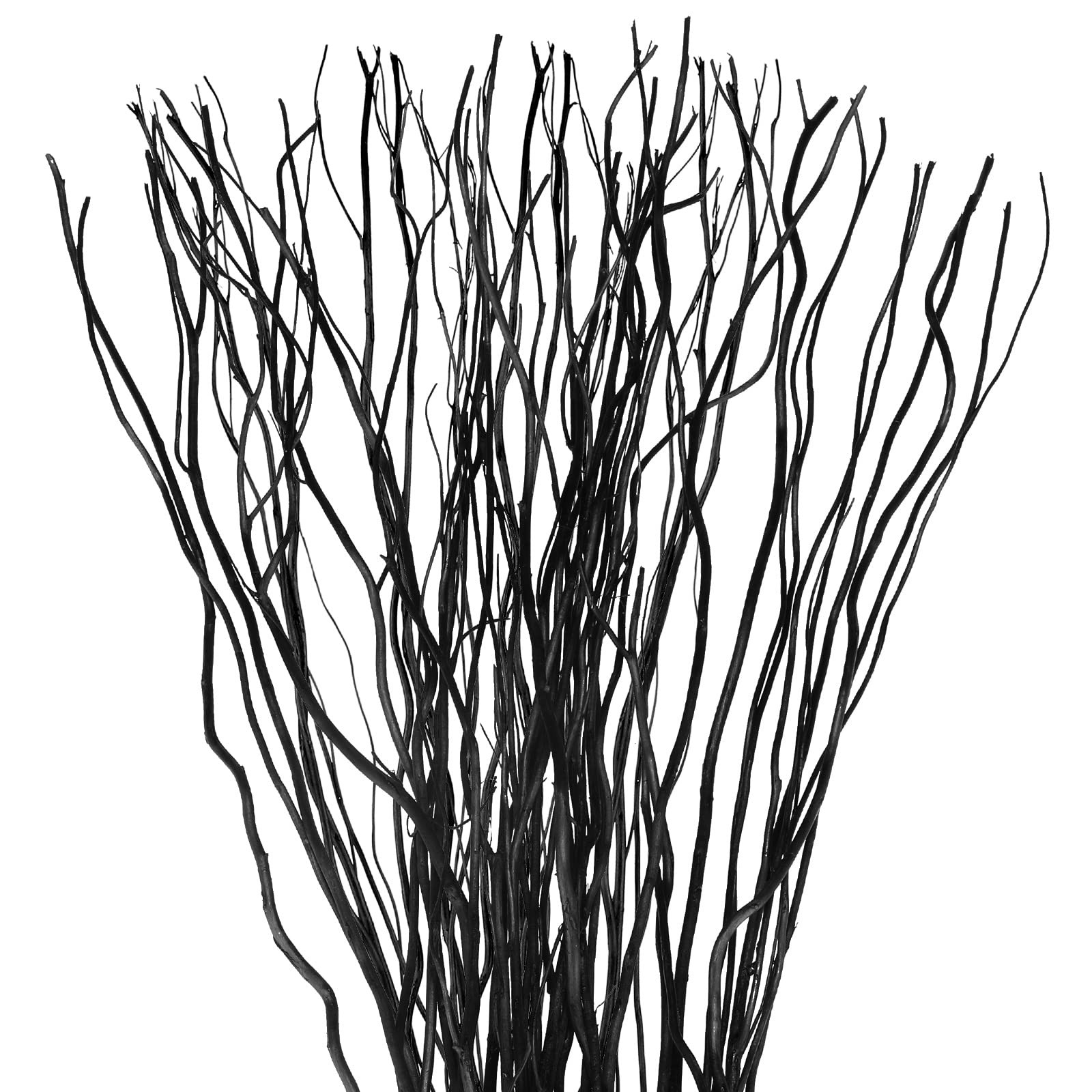 50 Pcs 15.75 Inch Black Curly Willow Branches, Dried Twigs, Vase Filler, DIY