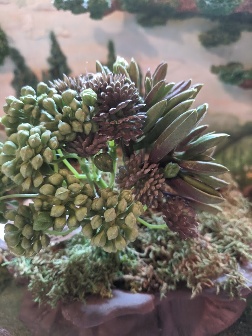 Faux Succulent Plant Pick – Green/Brown Succulent Bundle – 7 inches DA 30004259