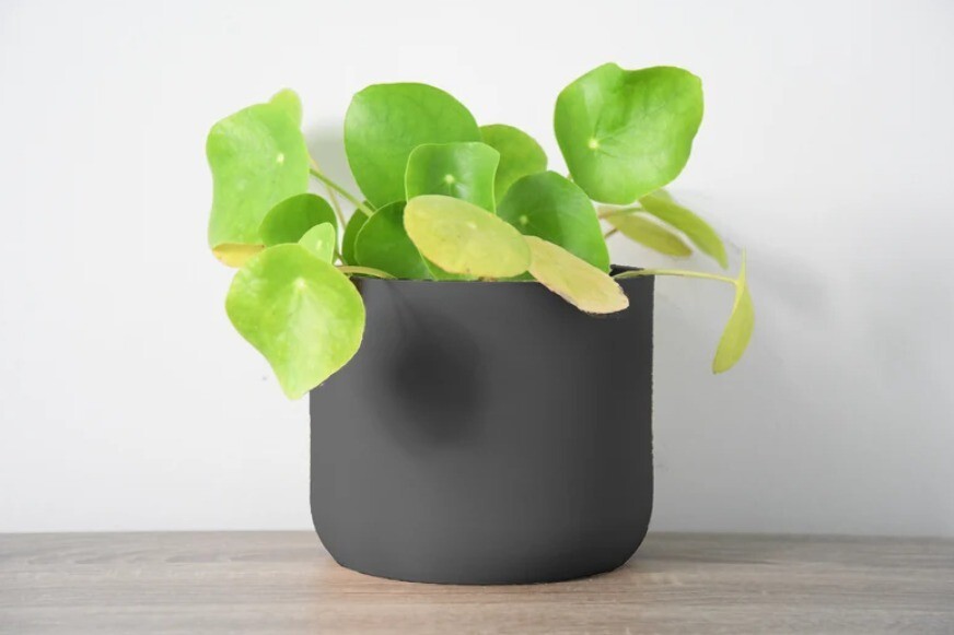 Minimalist Planter with Drainage & Saucer in Black